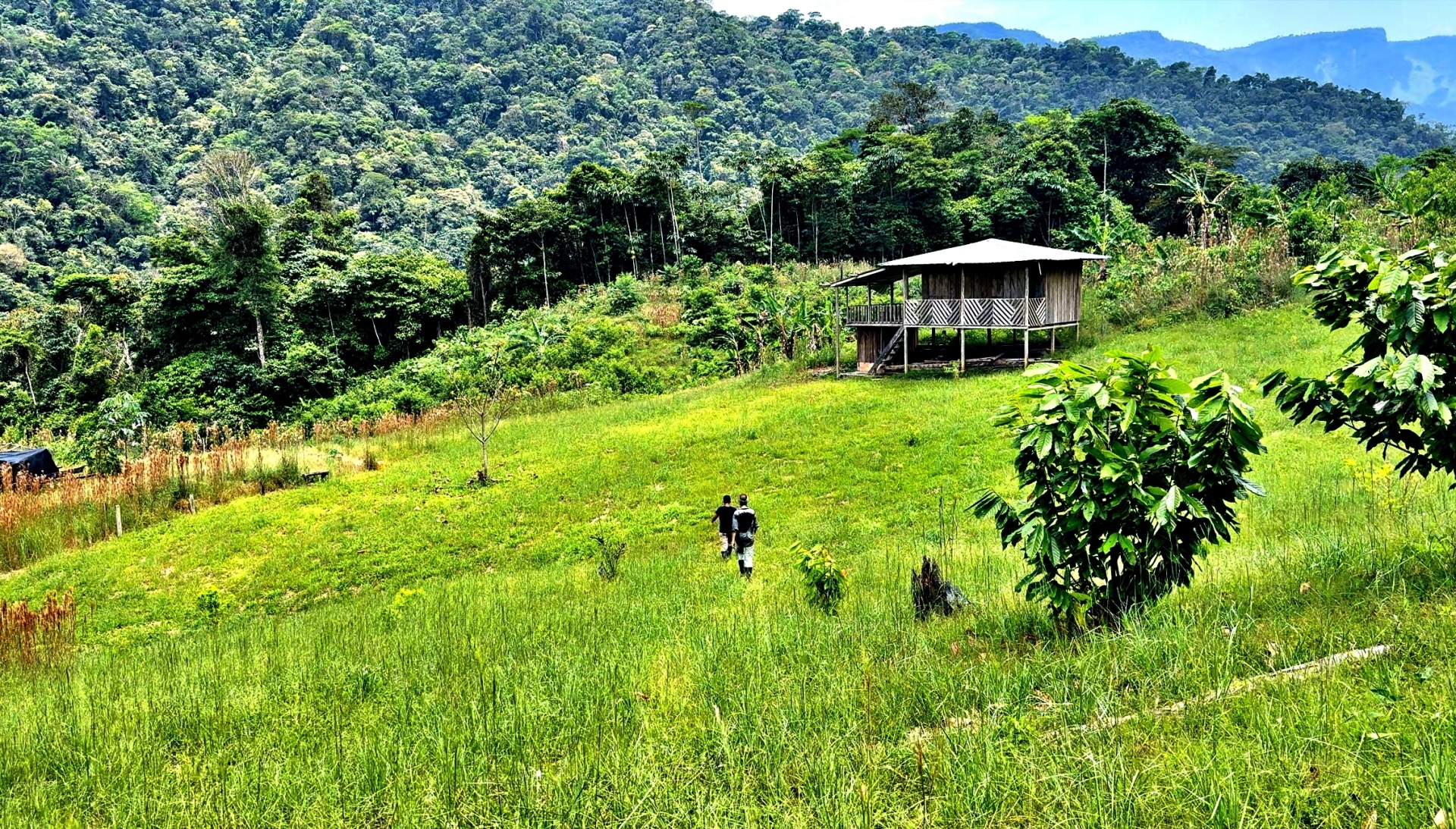Κολομβία: Από την κόκα στο κακάο – Το οδοιπορικό του Γιώργου Ζαρζώνη