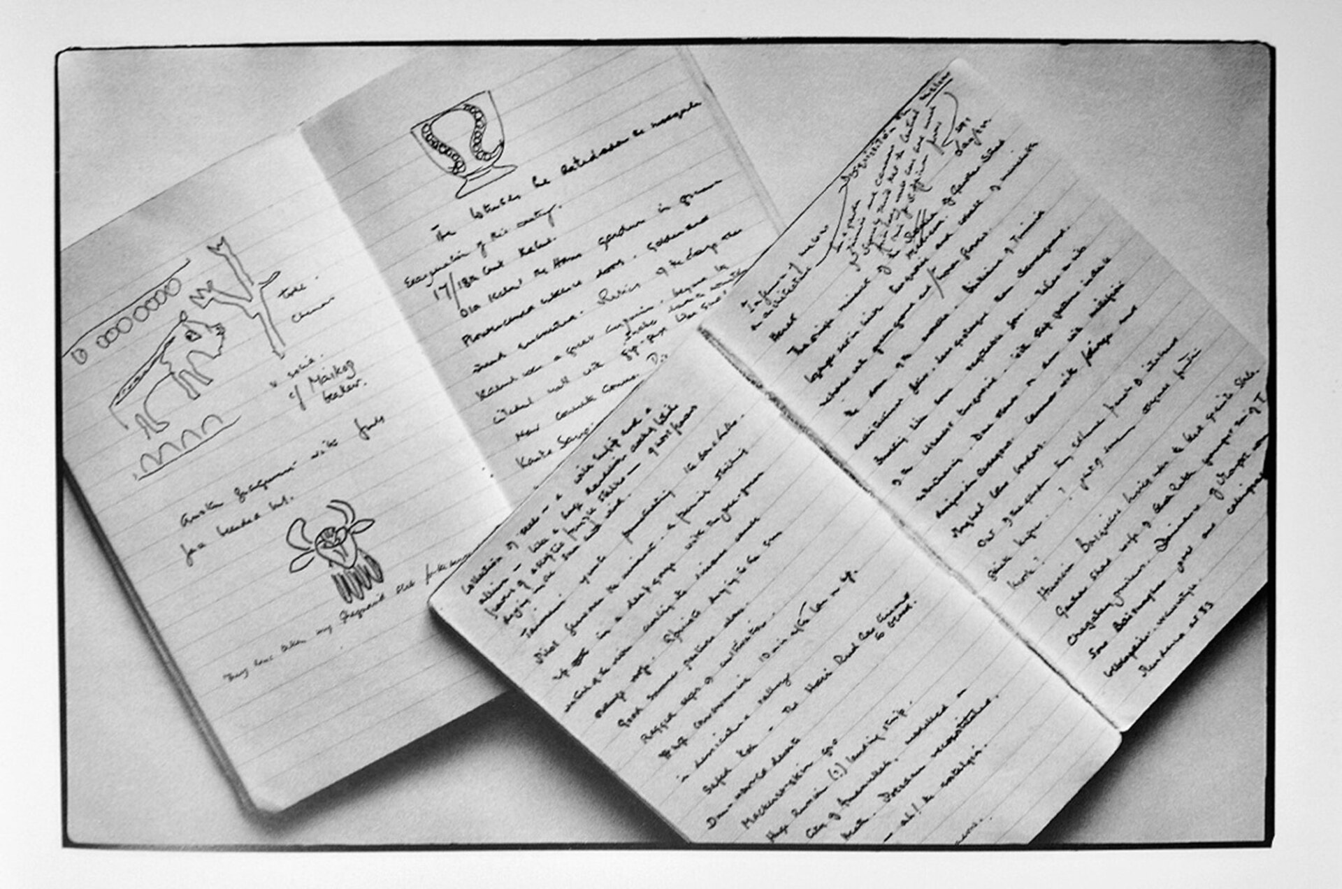 Σελίδες από τα αυθεντικά Moleskines του Bruce Chatwin