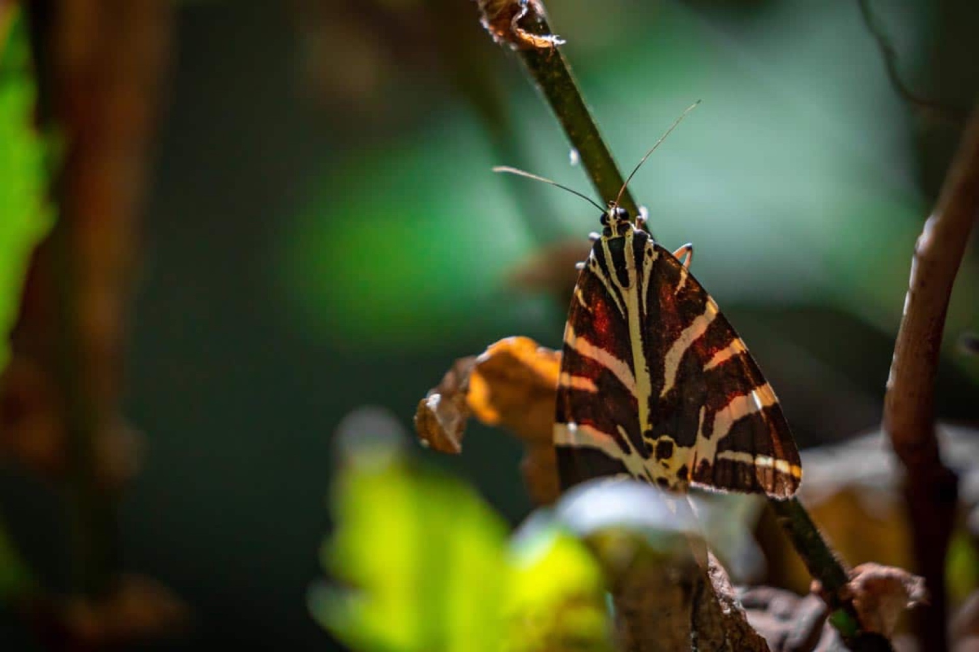 Οικοτουριστικοί θησαυροί της Ελλάδας: Ταξίδεψε σε 7 παραδεισένιους προορισμούς
