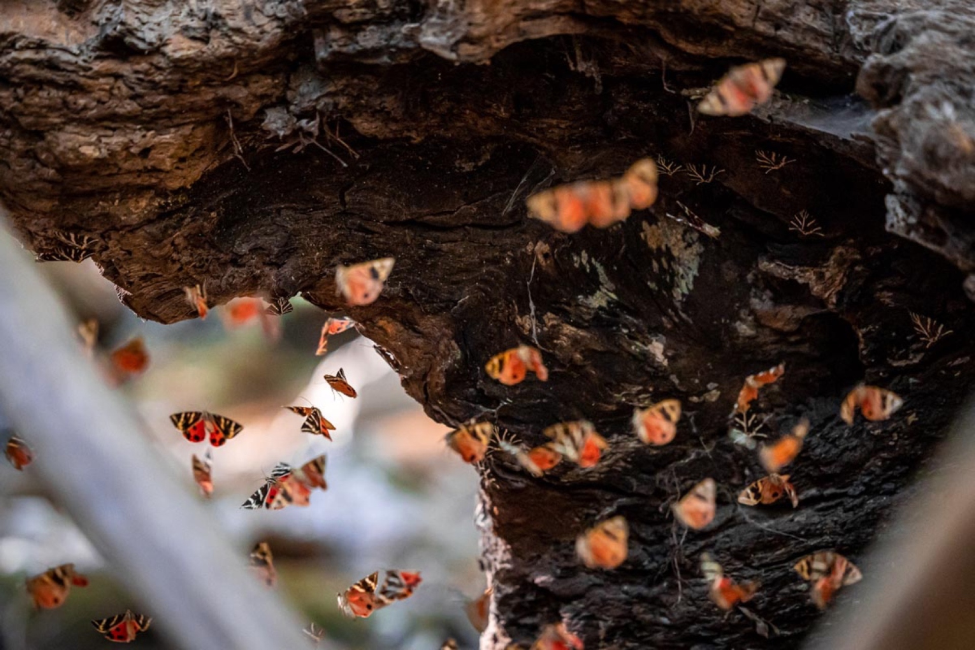 Οικοτουριστικοί θησαυροί της Ελλάδας: Ταξίδεψε σε 7 παραδεισένιους προορισμούς