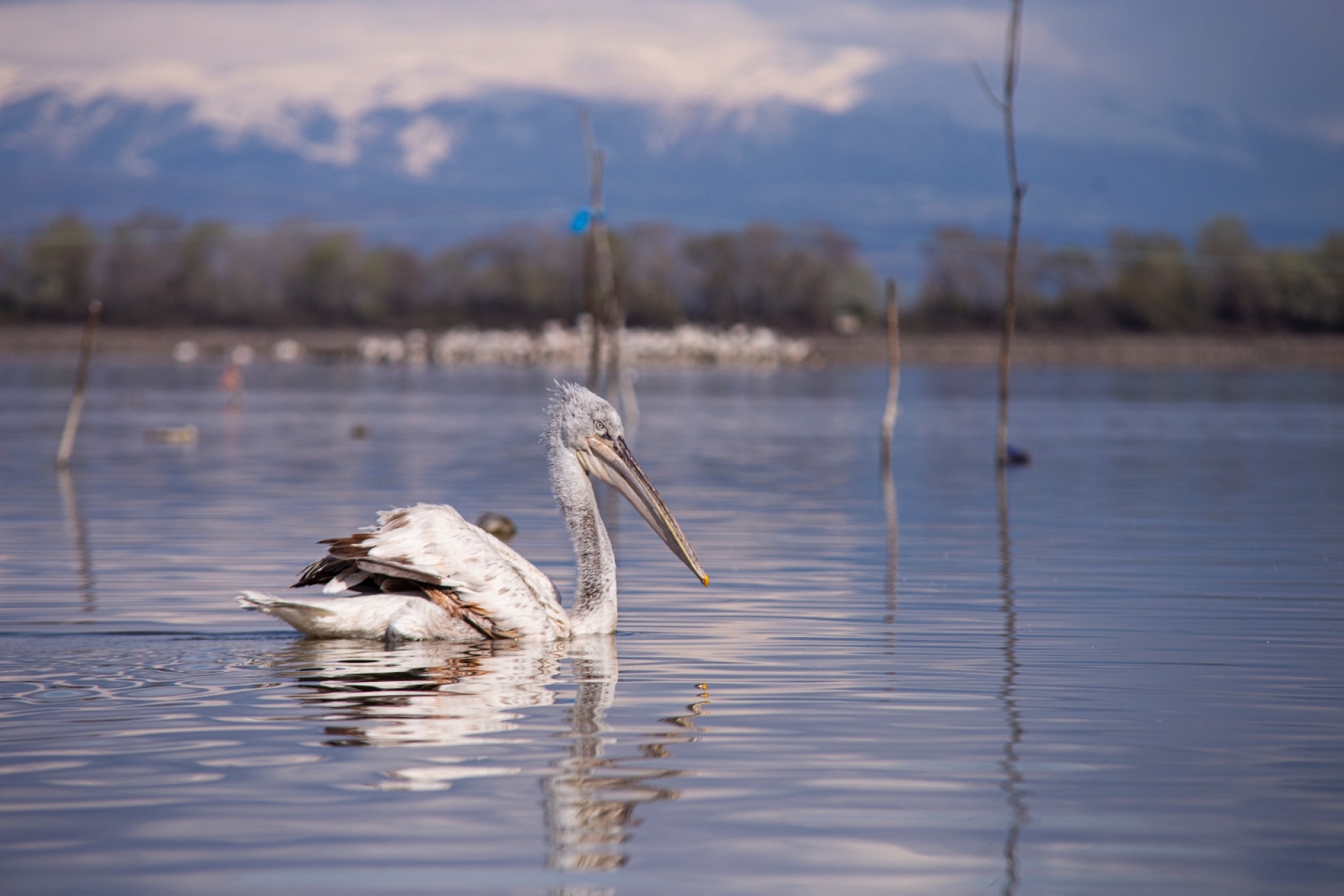Οικοτουριστικοί θησαυροί της Ελλάδας: Ταξίδεψε σε 7 παραδεισένιους προορισμούς