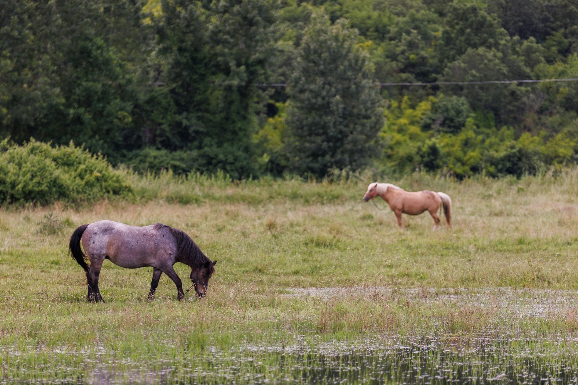 Οικοτουριστικοί θησαυροί της Ελλάδας: Ταξίδεψε σε 7 παραδεισένιους προορισμούς