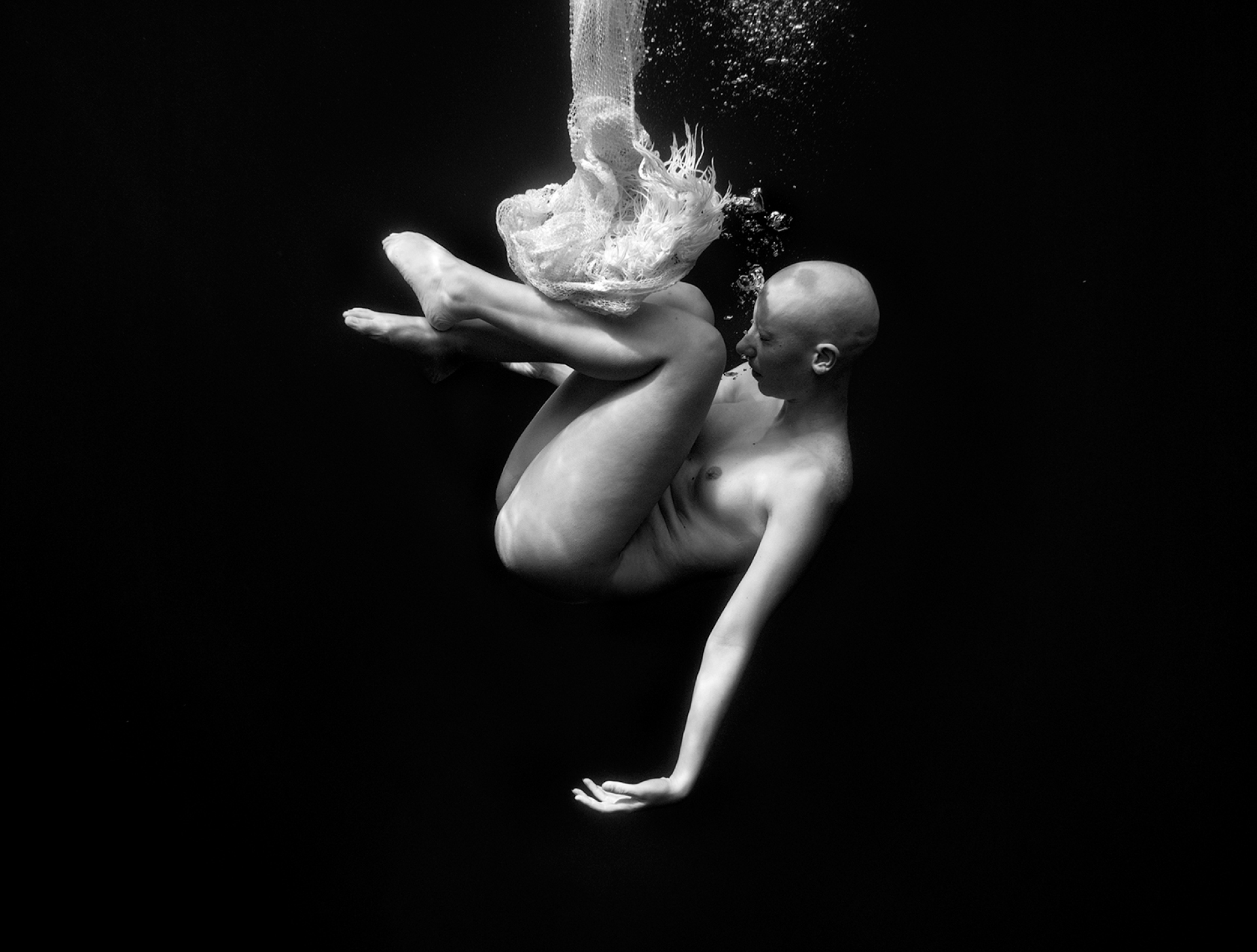 Ο υποβρύχιος κόσμος της Ρενέ Ρεβάχ