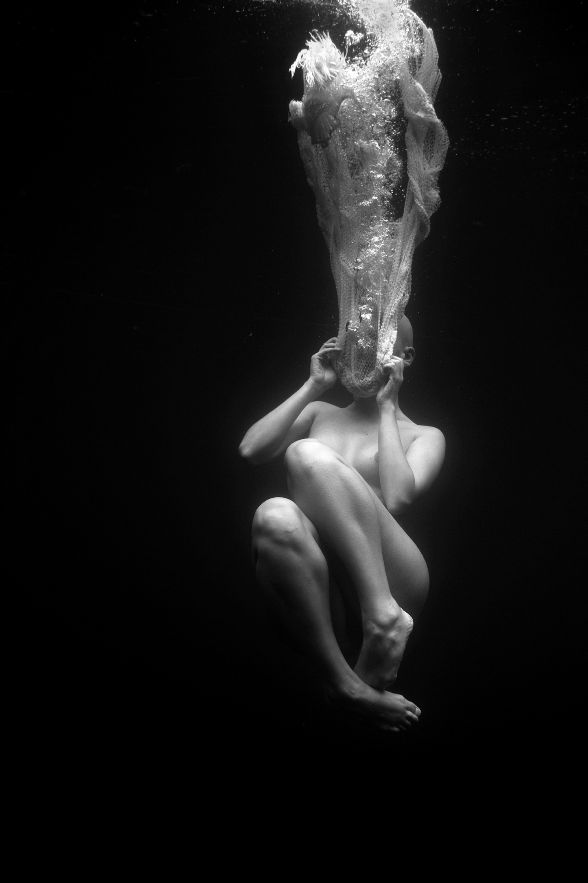 Ο υποβρύχιος κόσμος της Ρενέ Ρεβάχ