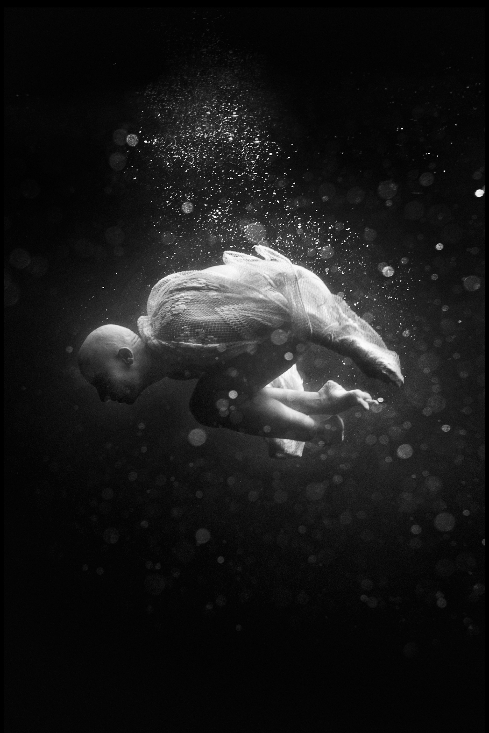 Ο υποβρύχιος κόσμος της Ρενέ Ρεβάχ