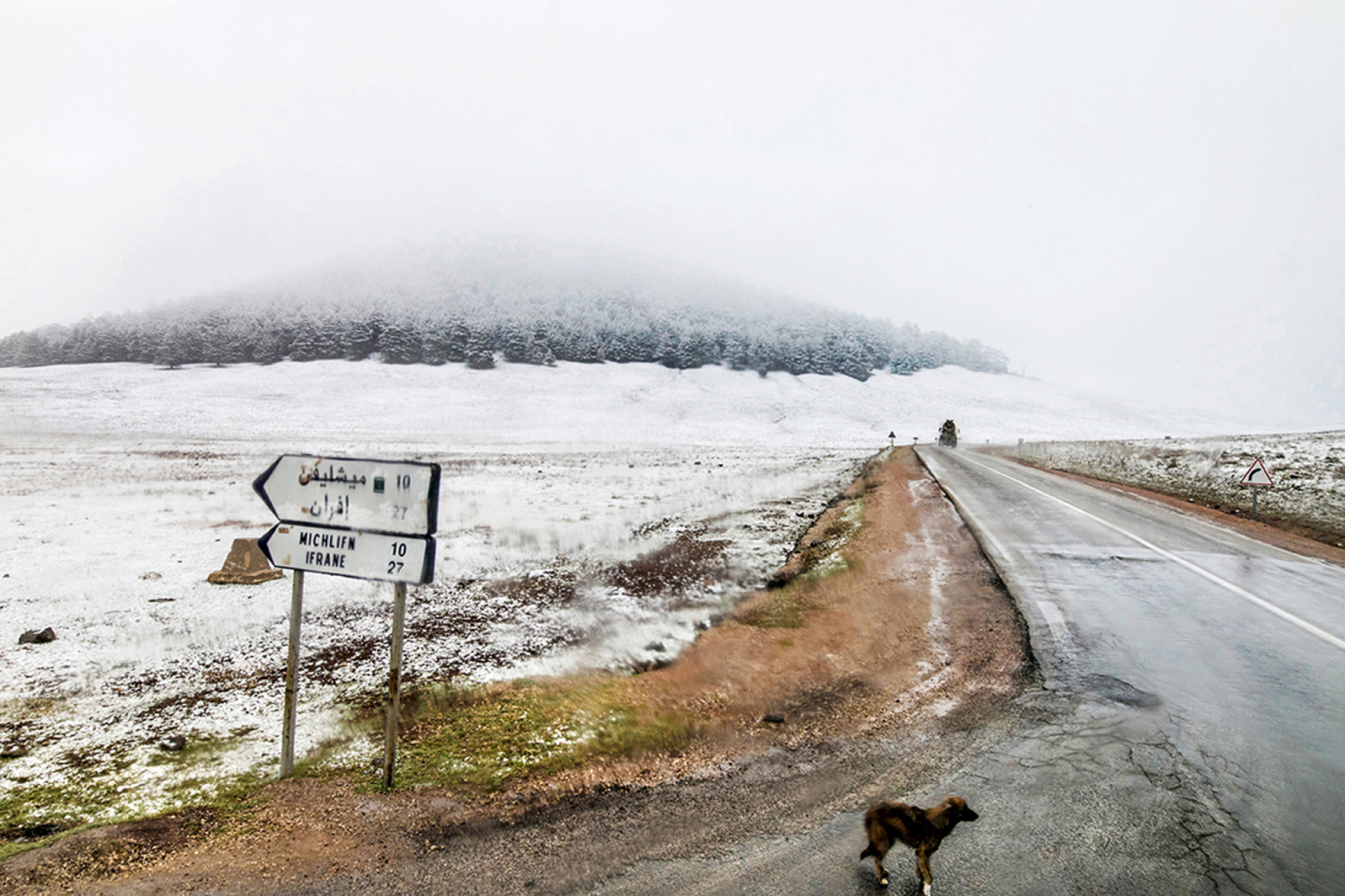 © Βασίλης Μανίκας