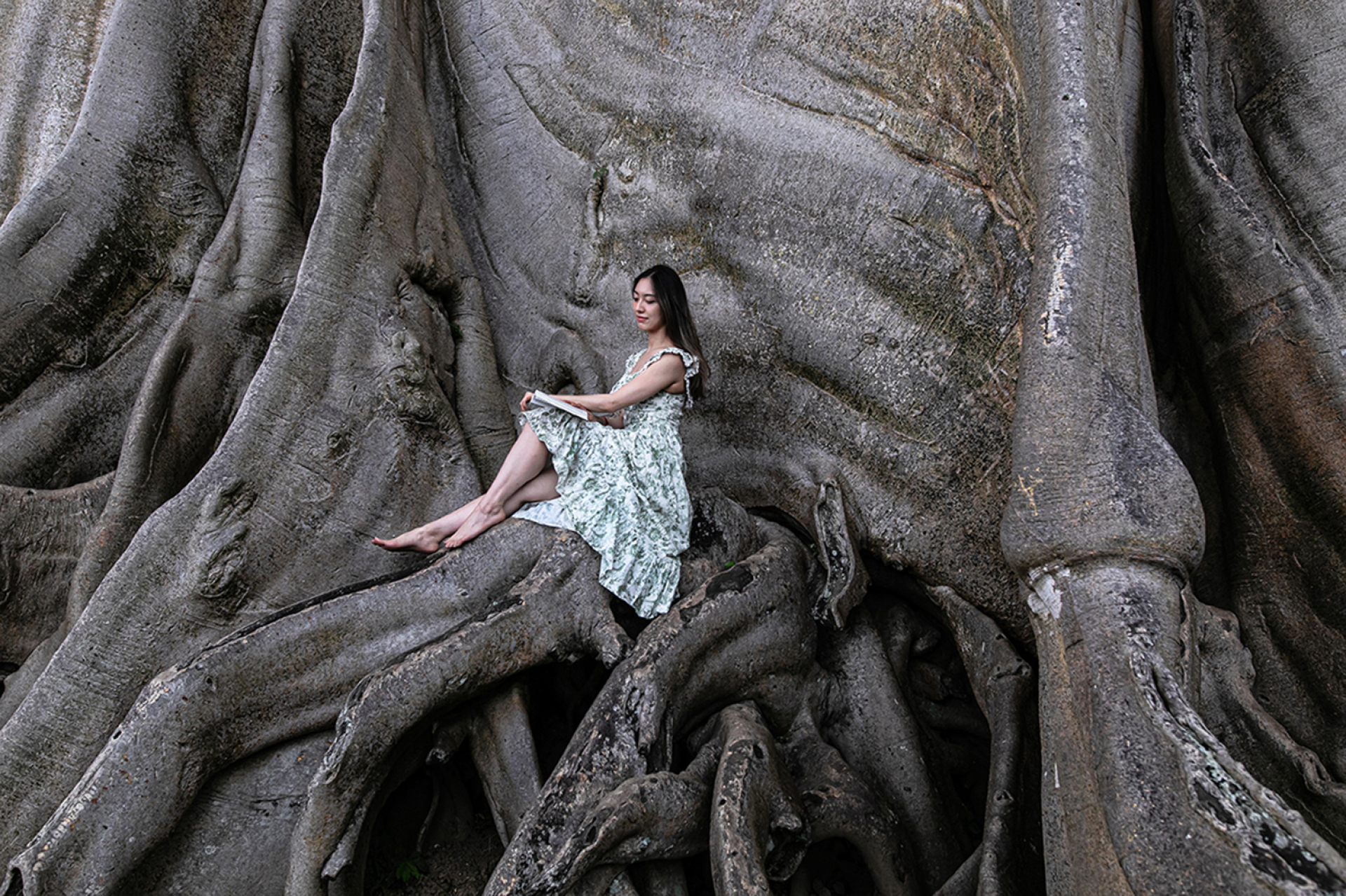 © Βασίλης Μανίκας