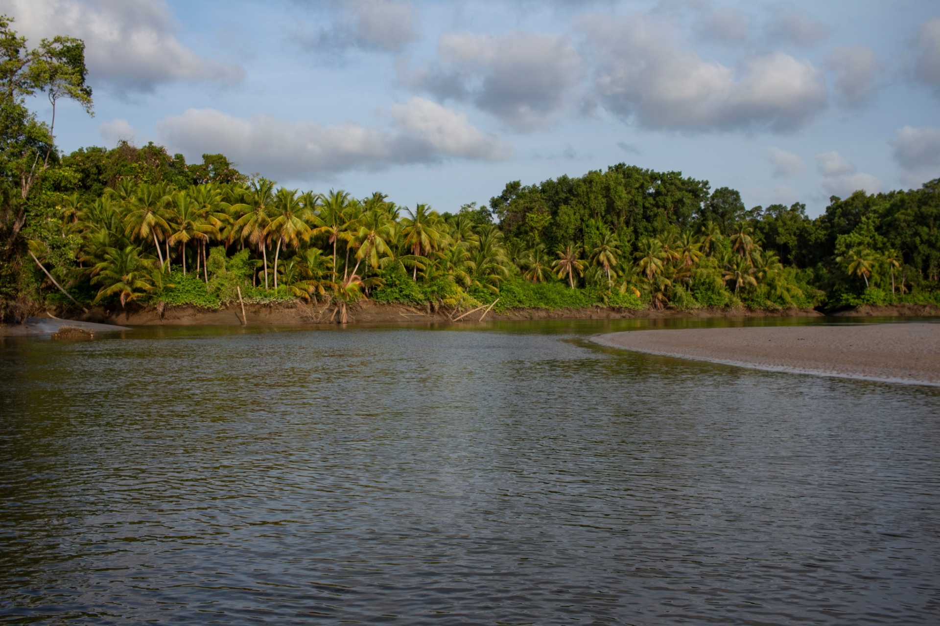 Τα καλά γεγονότα του 2024