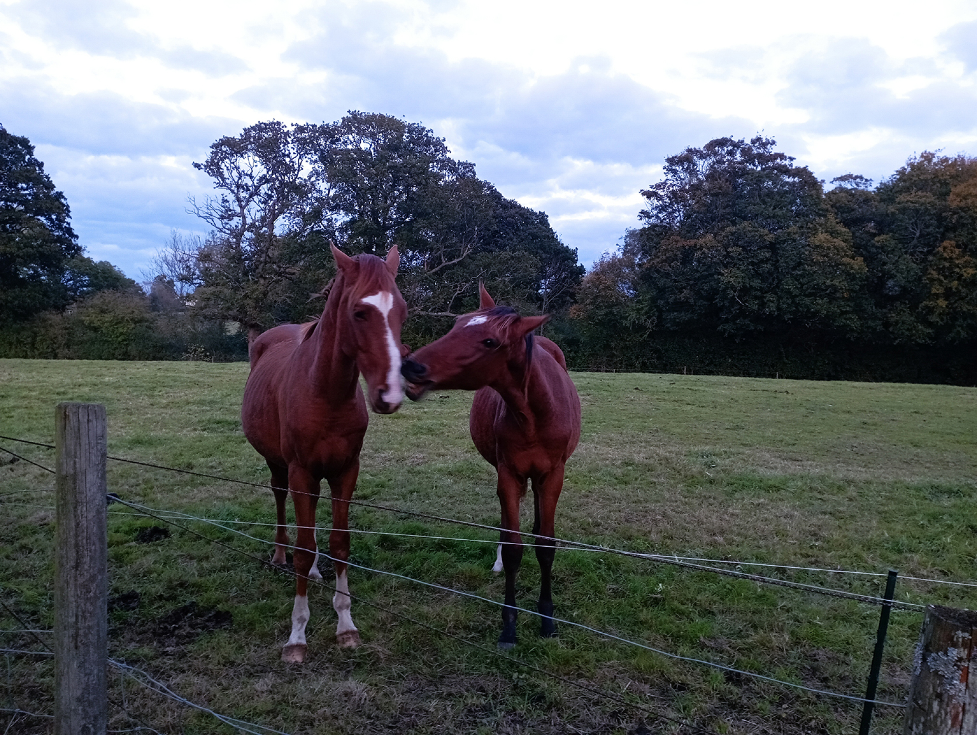 Η εξοχή της Αγγλίας δεν έχει καμία σχέση με τις εξοχές που ξέρουμε