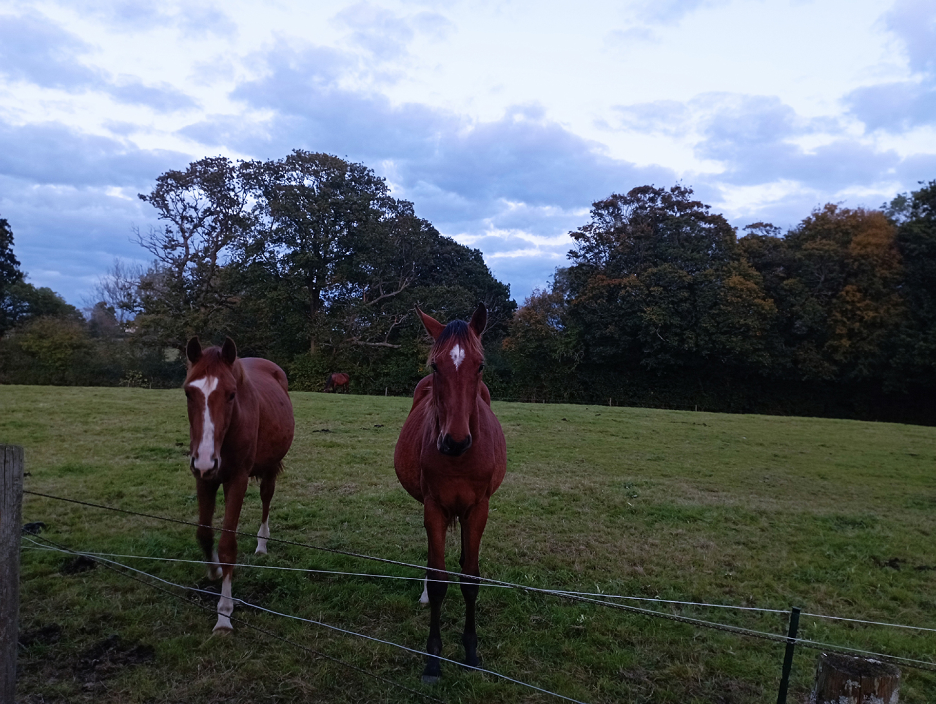 Η εξοχή της Αγγλίας δεν έχει καμία σχέση με τις εξοχές που ξέρουμε