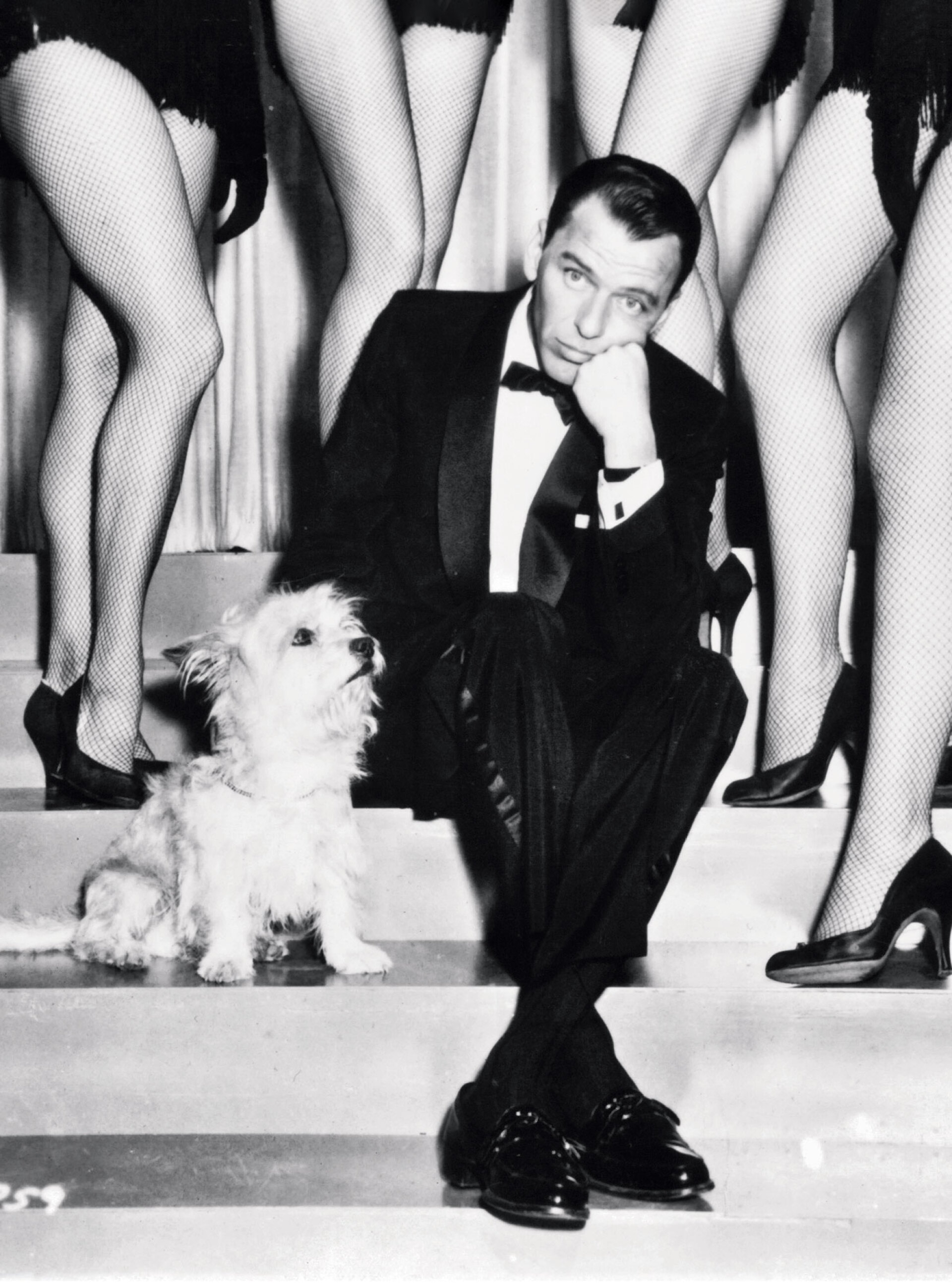 Ο Φρανκ Σινάτρα σε σκηνή από την ταινία «Ο φιλαράκος μου» (Pal Joey, 1957). Δίπλα του ένα όμορφο σκυλάκι και πίσω του μια «κουρτίνα» από σέξι πόδια © Columbia Pictures/Getty Images
