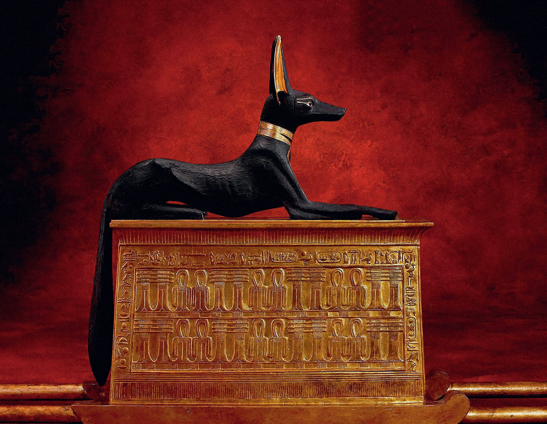 Chic Dogs: Μια φωτογραφική ιστορία με σκυλιά σαλονιού