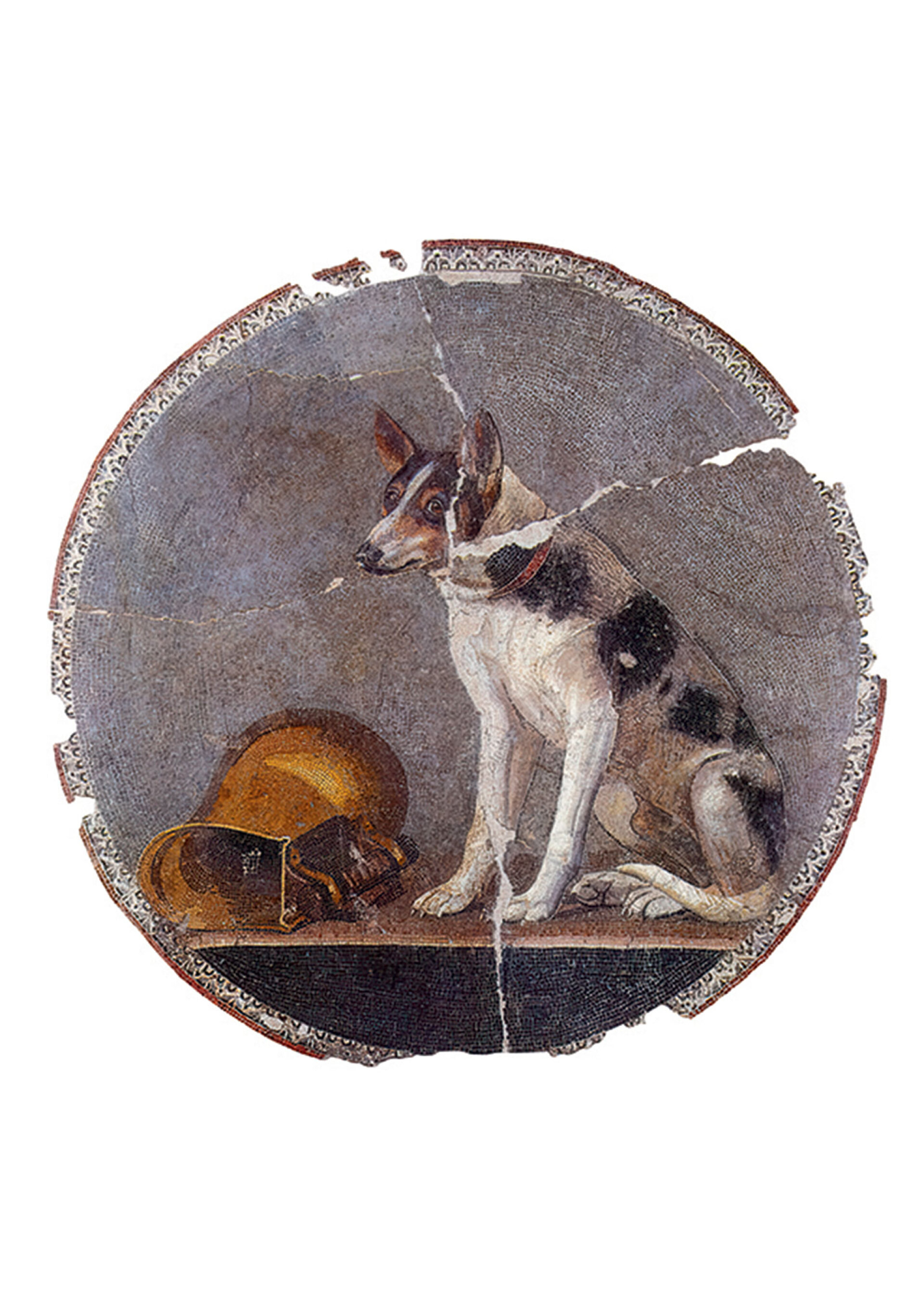 Κομμάτι από μωσαϊκό που βρέθηκε στην Αλεξάνδρεια της Αιγύπτου και χρονολογείται από τον 2ο αιώνα π.Χ. Αποτυπώνει έναν σκύλο δίπλα σε ένα επίχρυσο δοχείο.