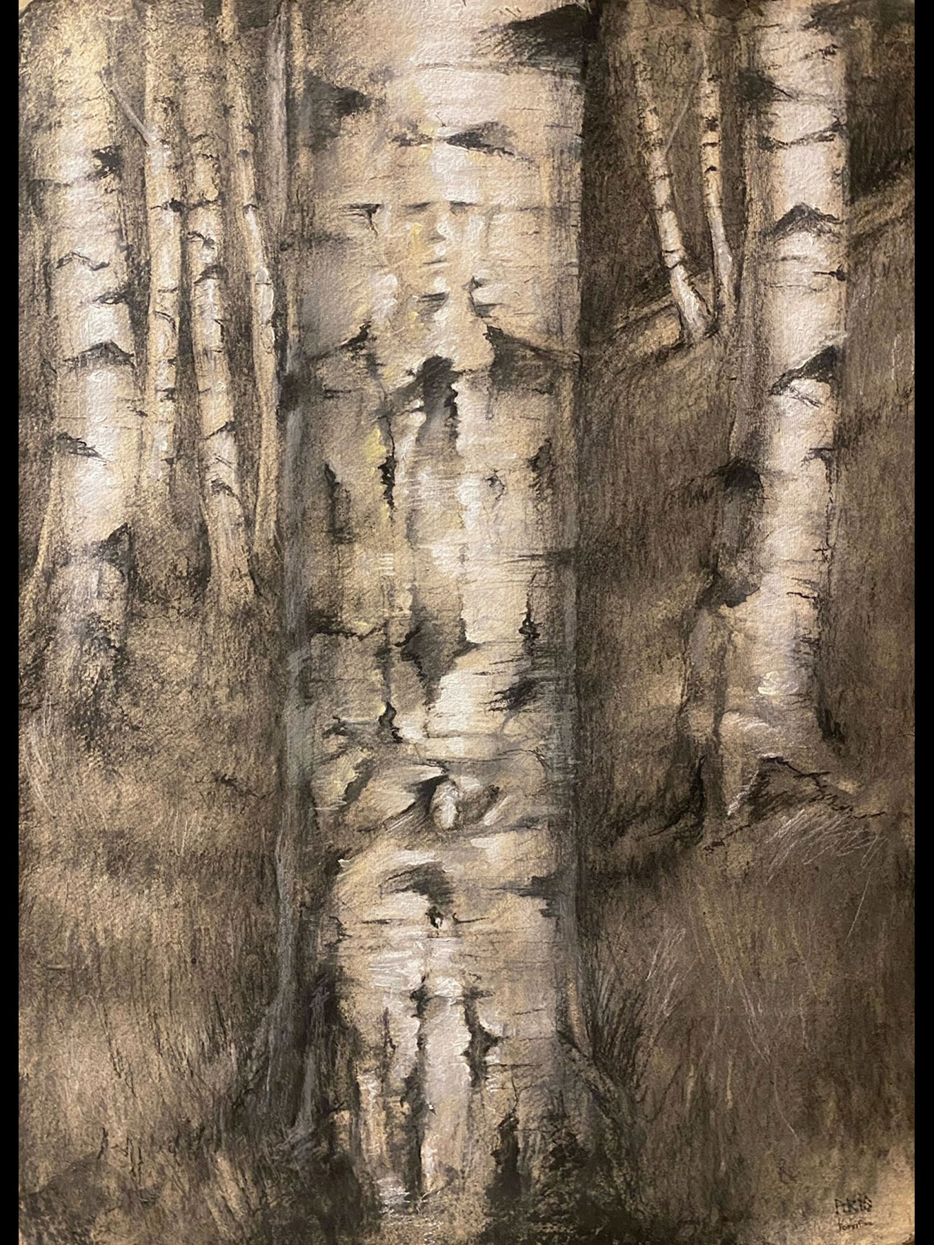 Forvitinn - Birke, 2017