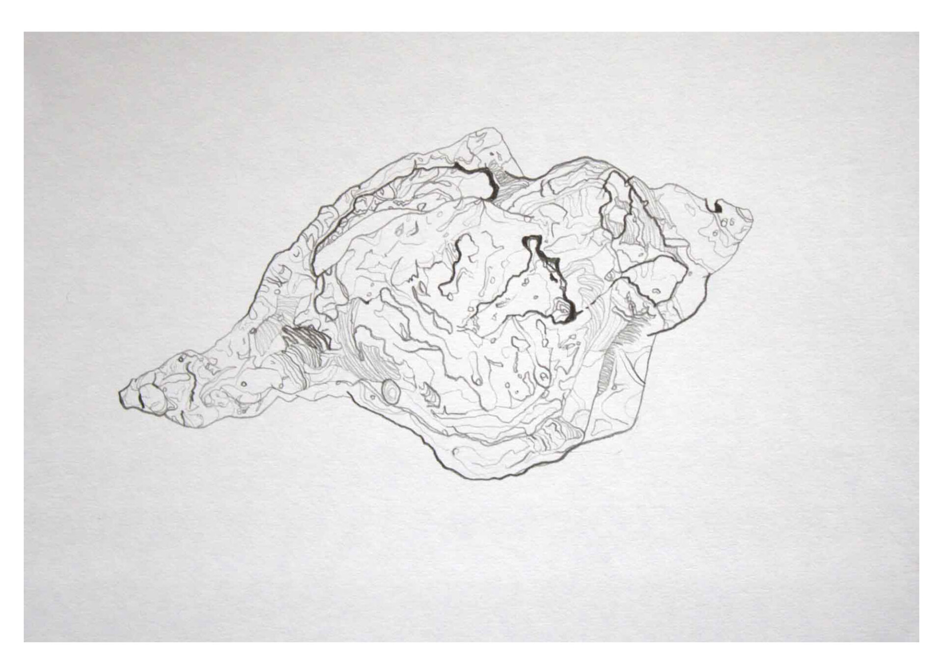 Δανάη Παϊπέτη, Χωρίς τίτλο, 2024, μολύβι σε χαρτί