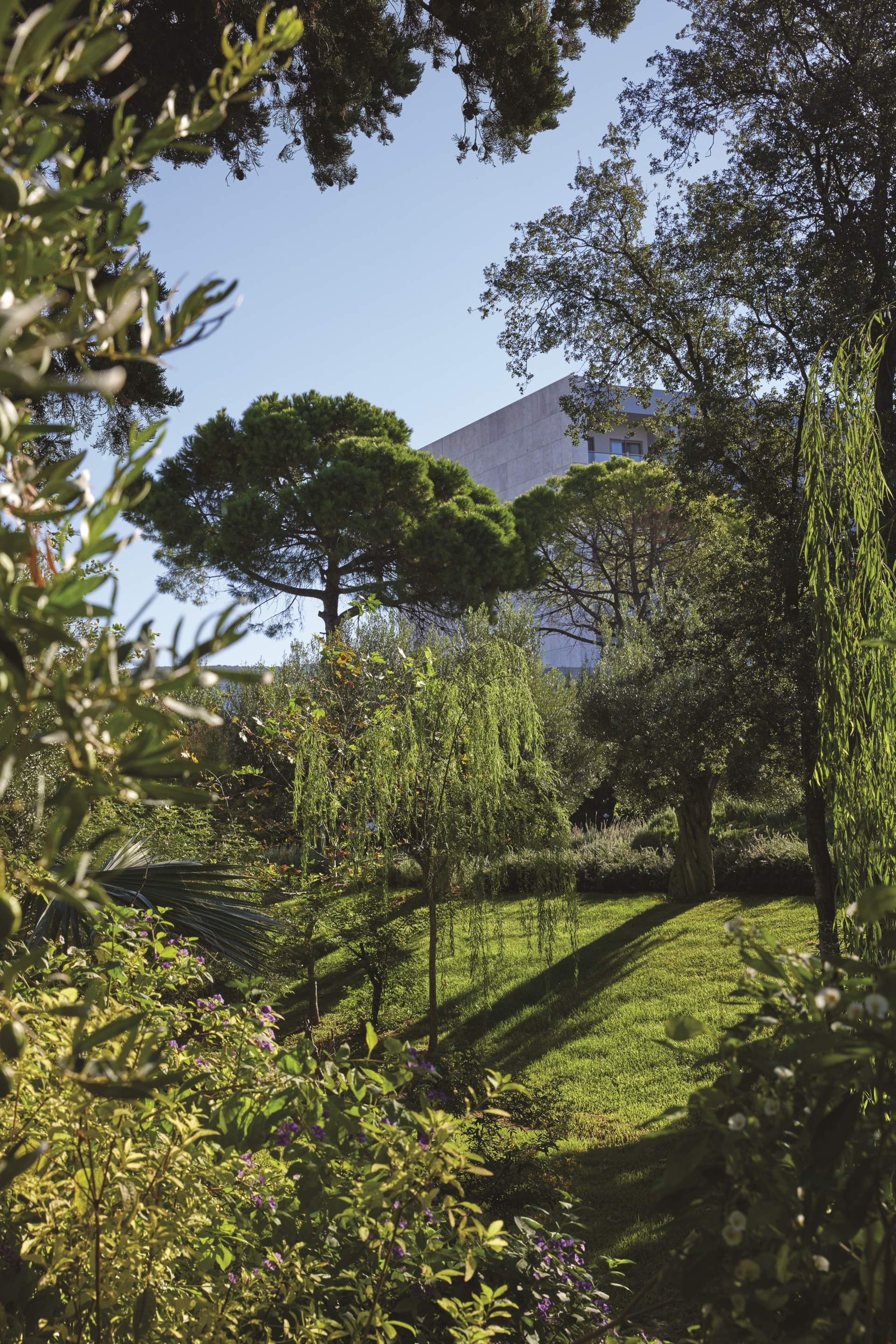 Νίκη Μάνου - Ανδρεάδη: Το ανθρώπινο και βιώσιμο μέλλον των ελληνικών πόλεων