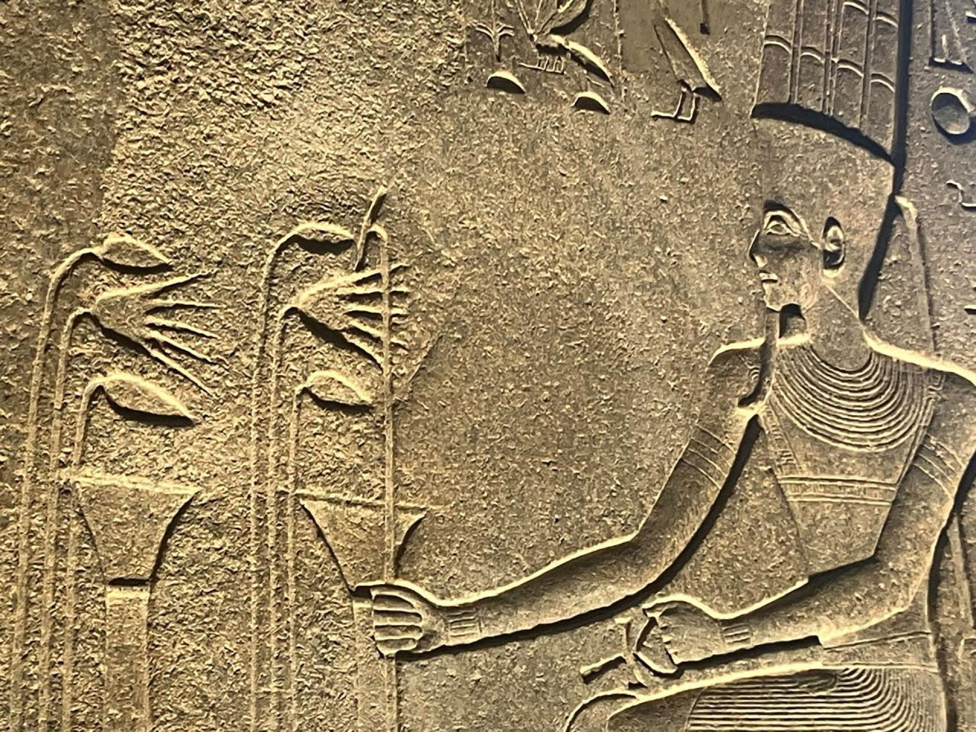 Μεγάλο Αιγυπτιακό Μουσείο του Καΐρου