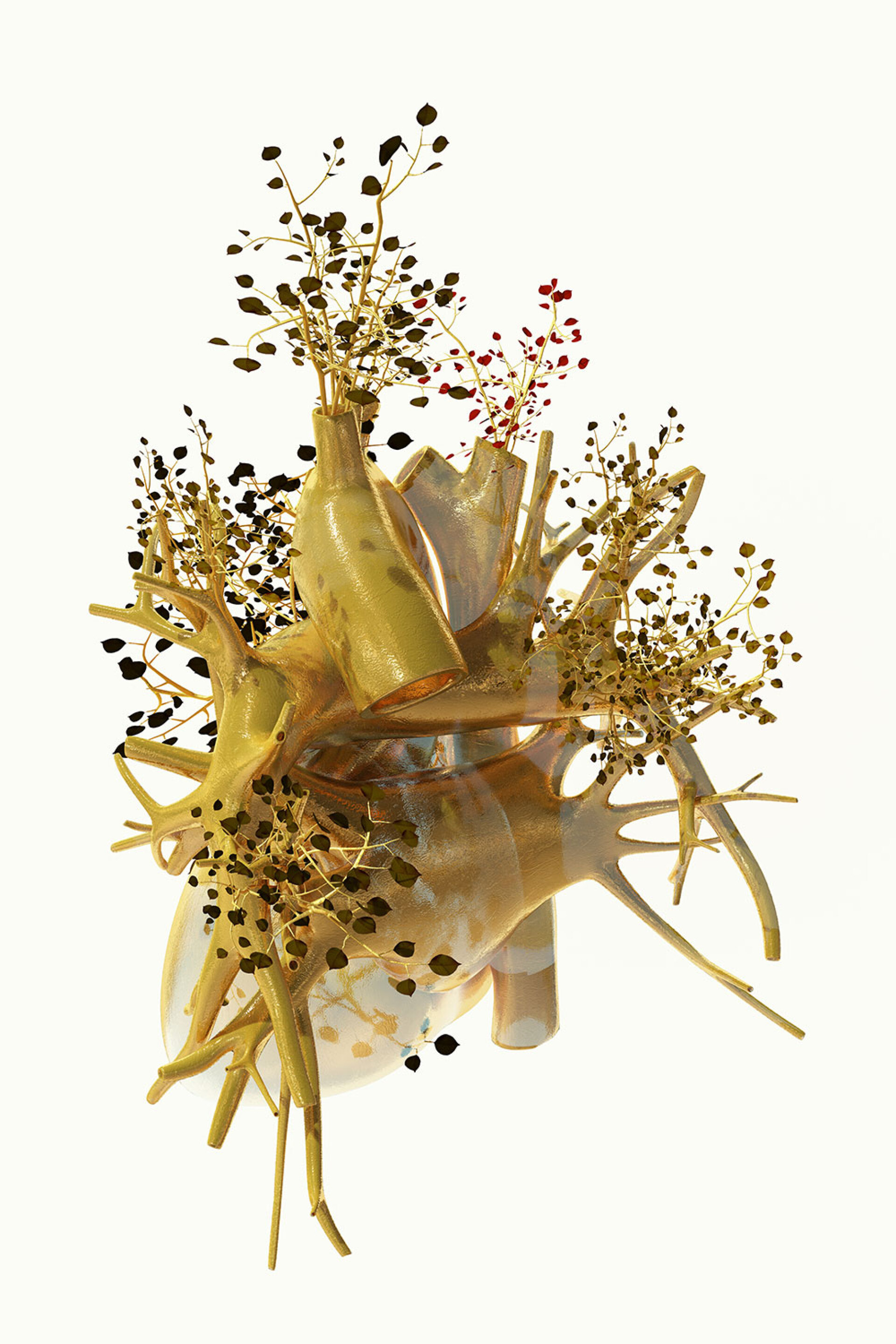 Phytobiosomes by Costas Pigadas στο Νοσοκομείο Ερρίκος Ντυνάν