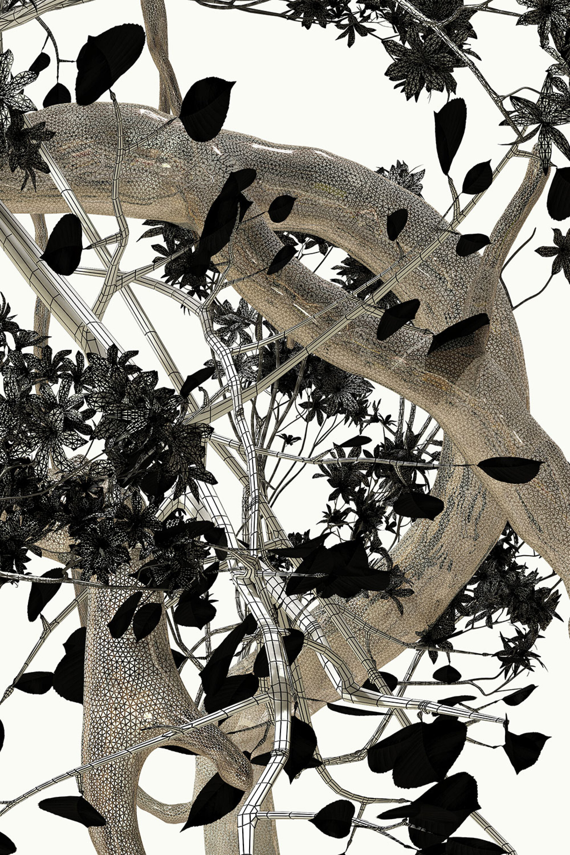 Phytobiosomes by Costas Pigadas στο Νοσοκομείο Ερρίκος Ντυνάν