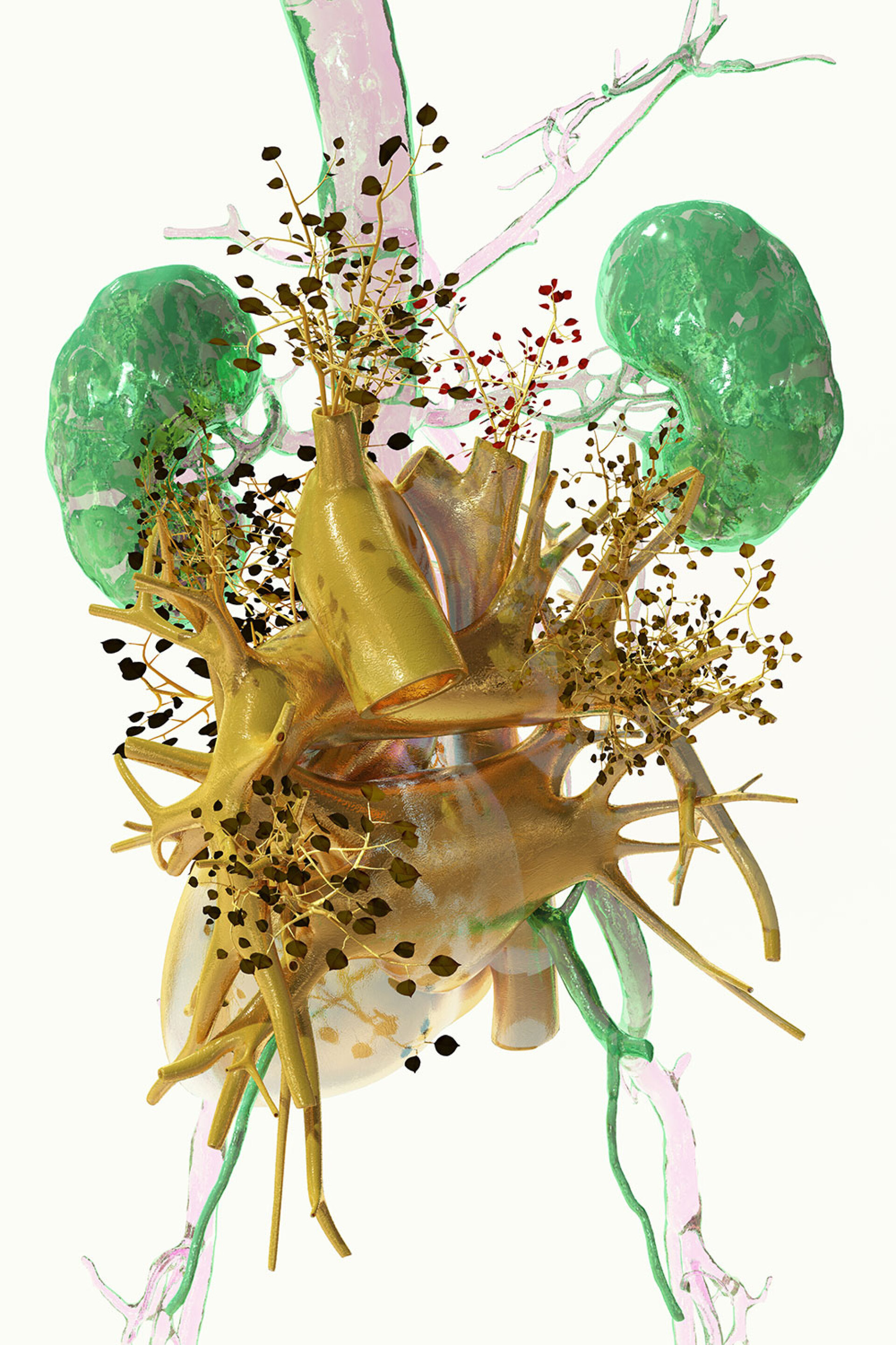 Phytobiosomes by Costas Pigadas στο Νοσοκομείο Ερρίκος Ντυνάν