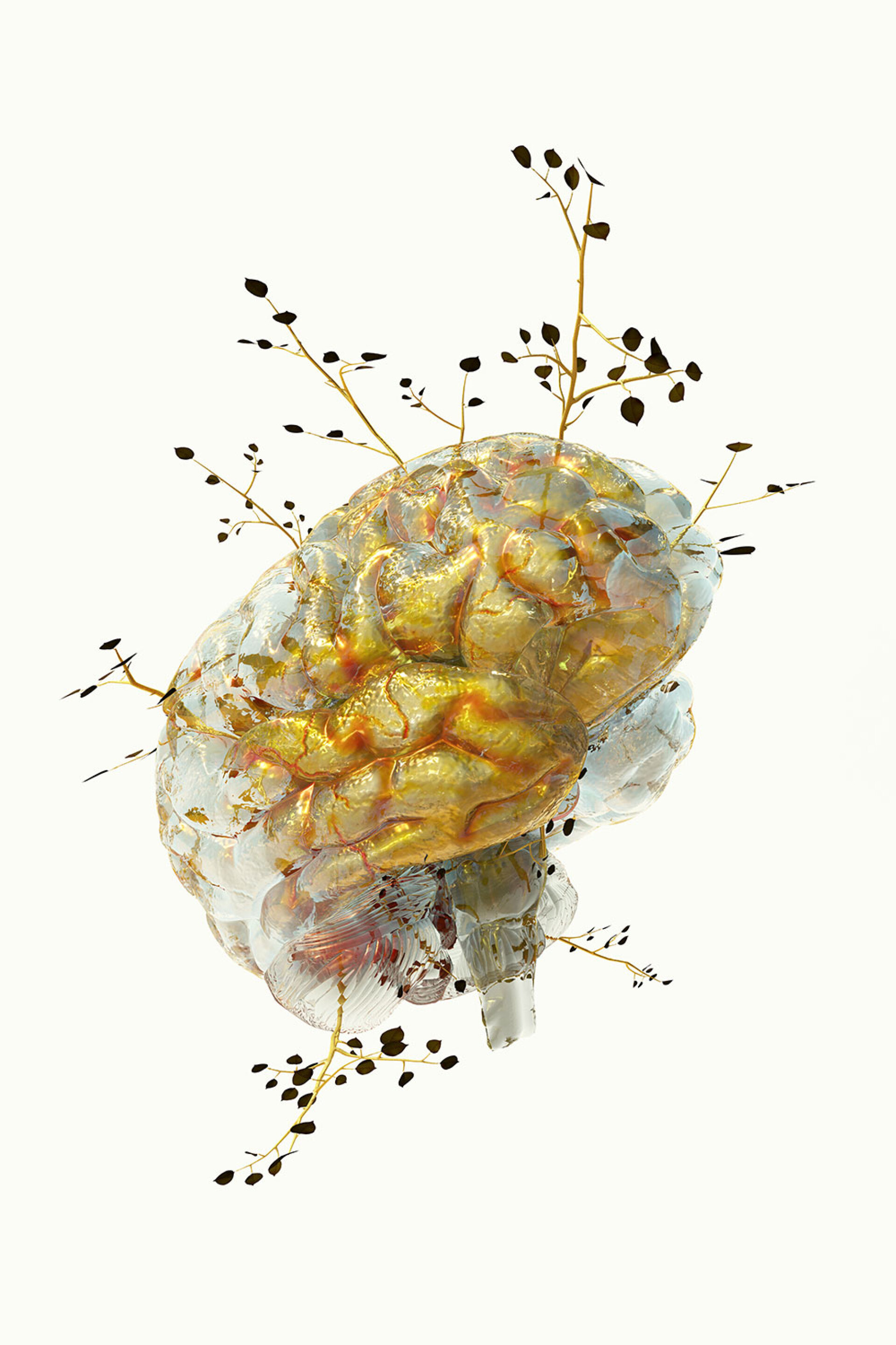 Phytobiosomes by Costas Pigadas στο Νοσοκομείο Ερρίκος Ντυνάν