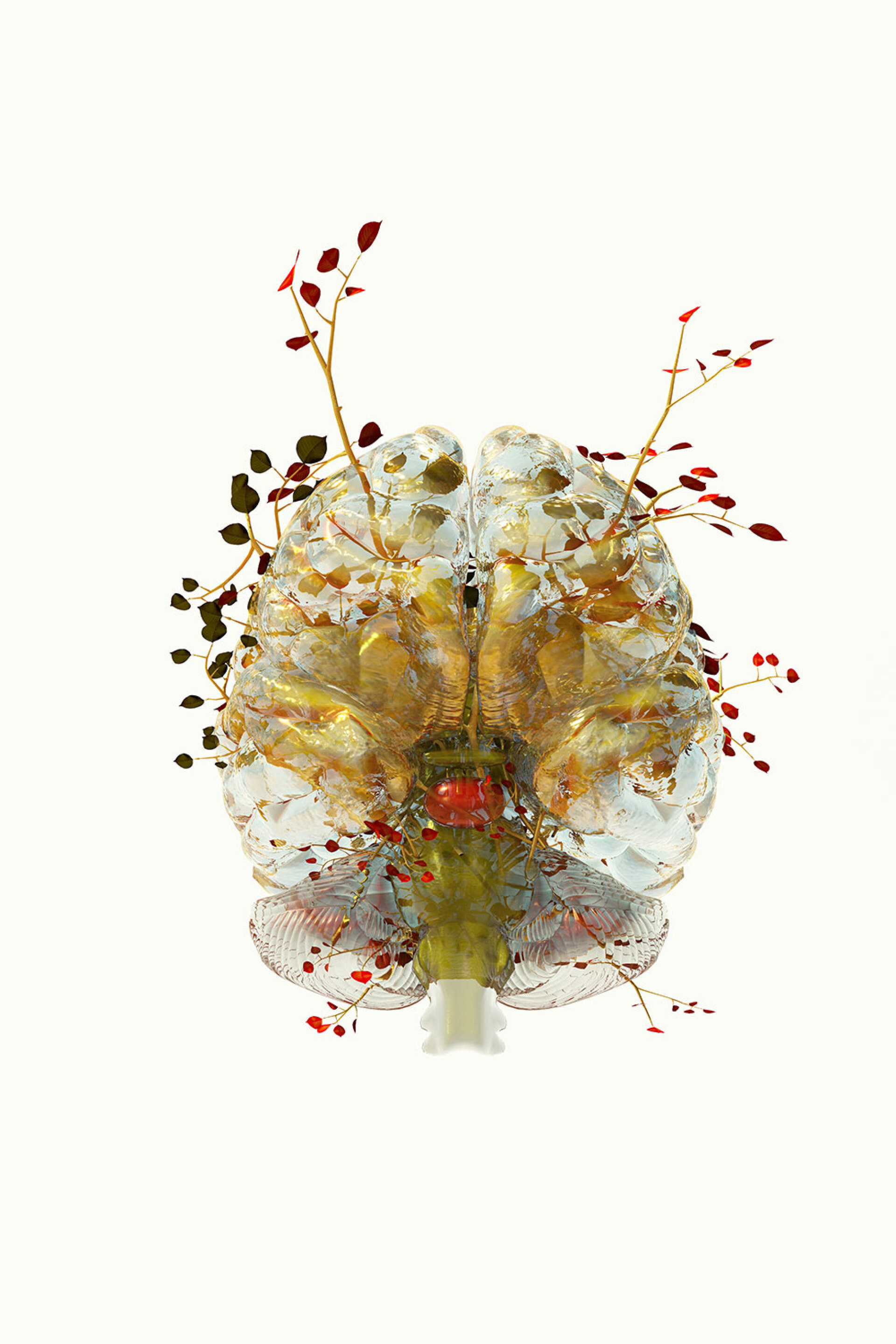 Phytobiosomes by Costas Pigadas στο Νοσοκομείο Ερρίκος Ντυνάν