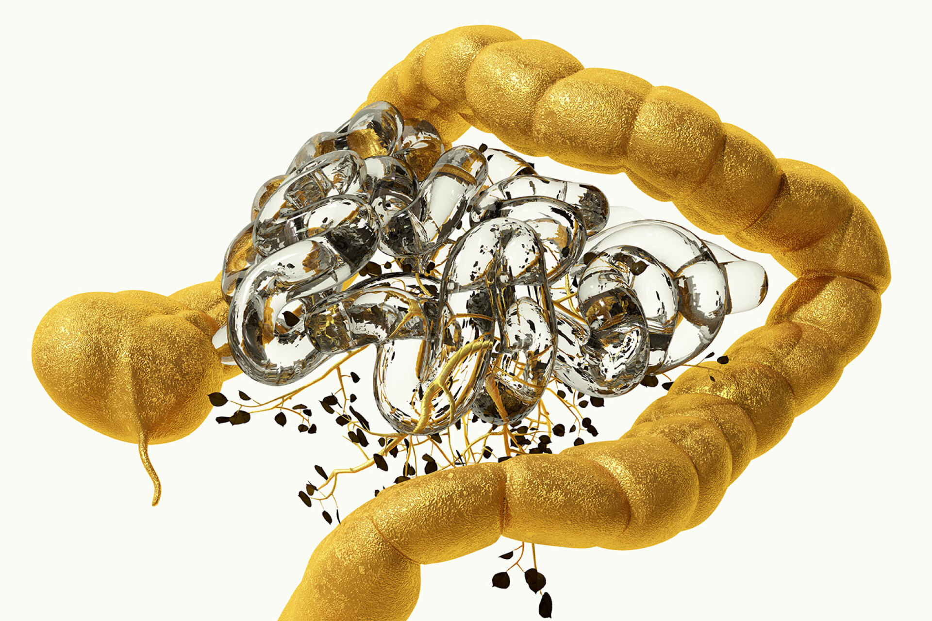 Phytobiosomes by Costas Pigadas στο Νοσοκομείο Ερρίκος Ντυνάν