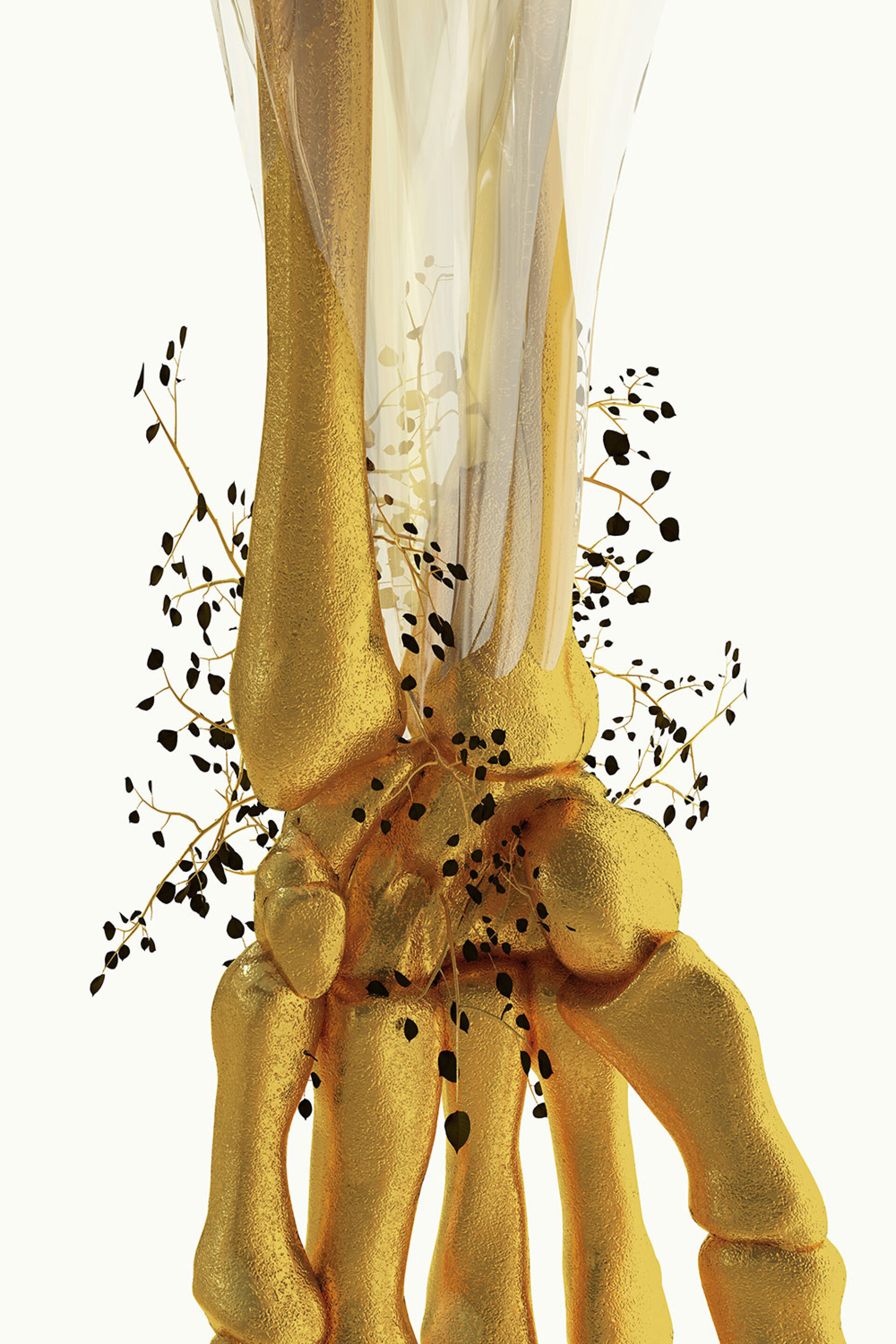Phytobiosomes by Costas Pigadas στο Νοσοκομείο Ερρίκος Ντυνάν