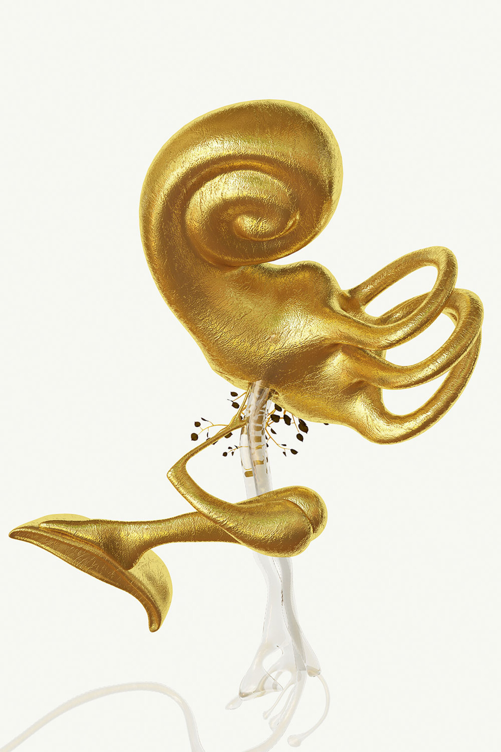 Phytobiosomes by Costas Pigadas στο Νοσοκομείο Ερρίκος Ντυνάν