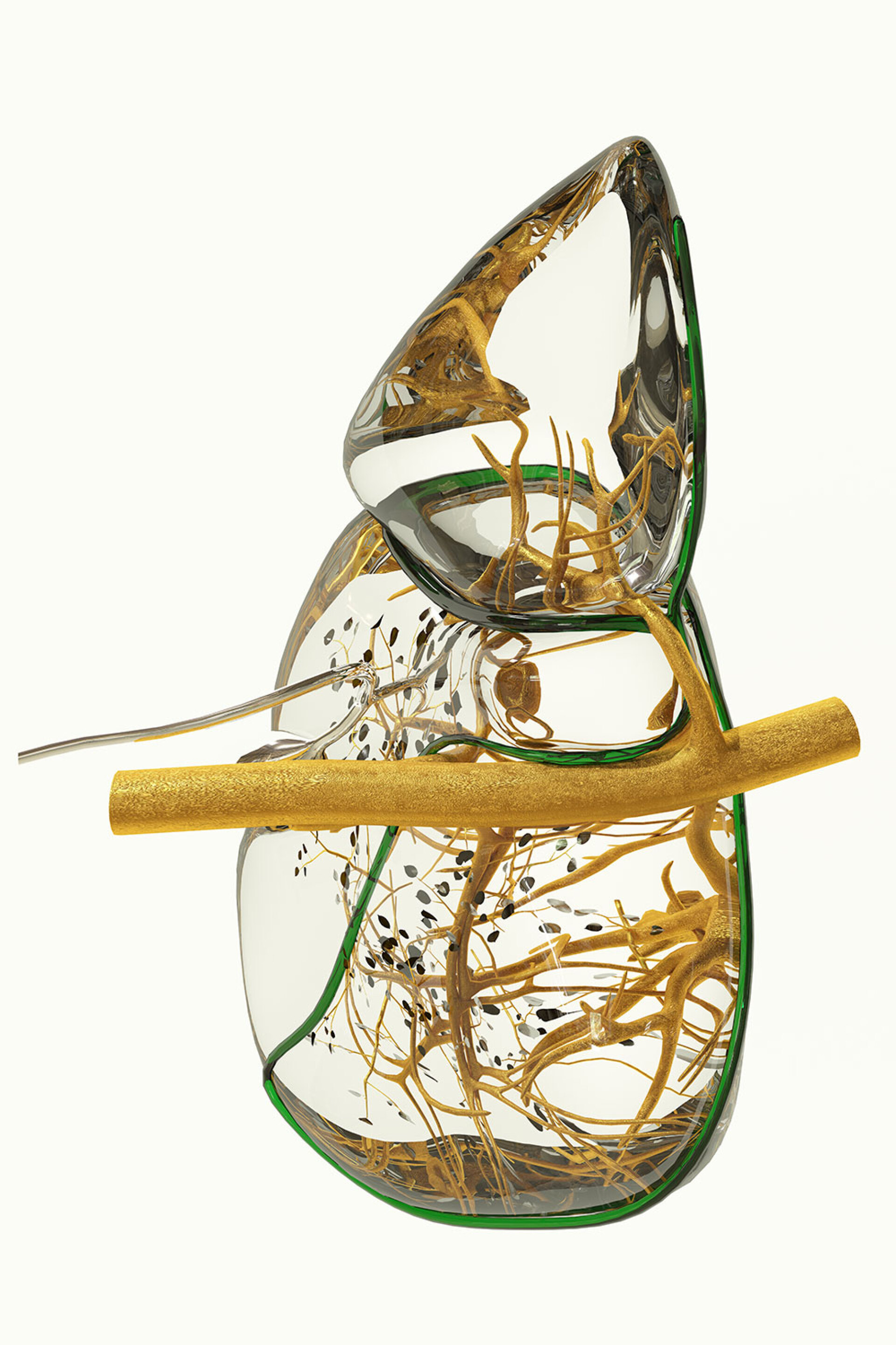 Phytobiosomes by Costas Pigadas στο Νοσοκομείο Ερρίκος Ντυνάν
