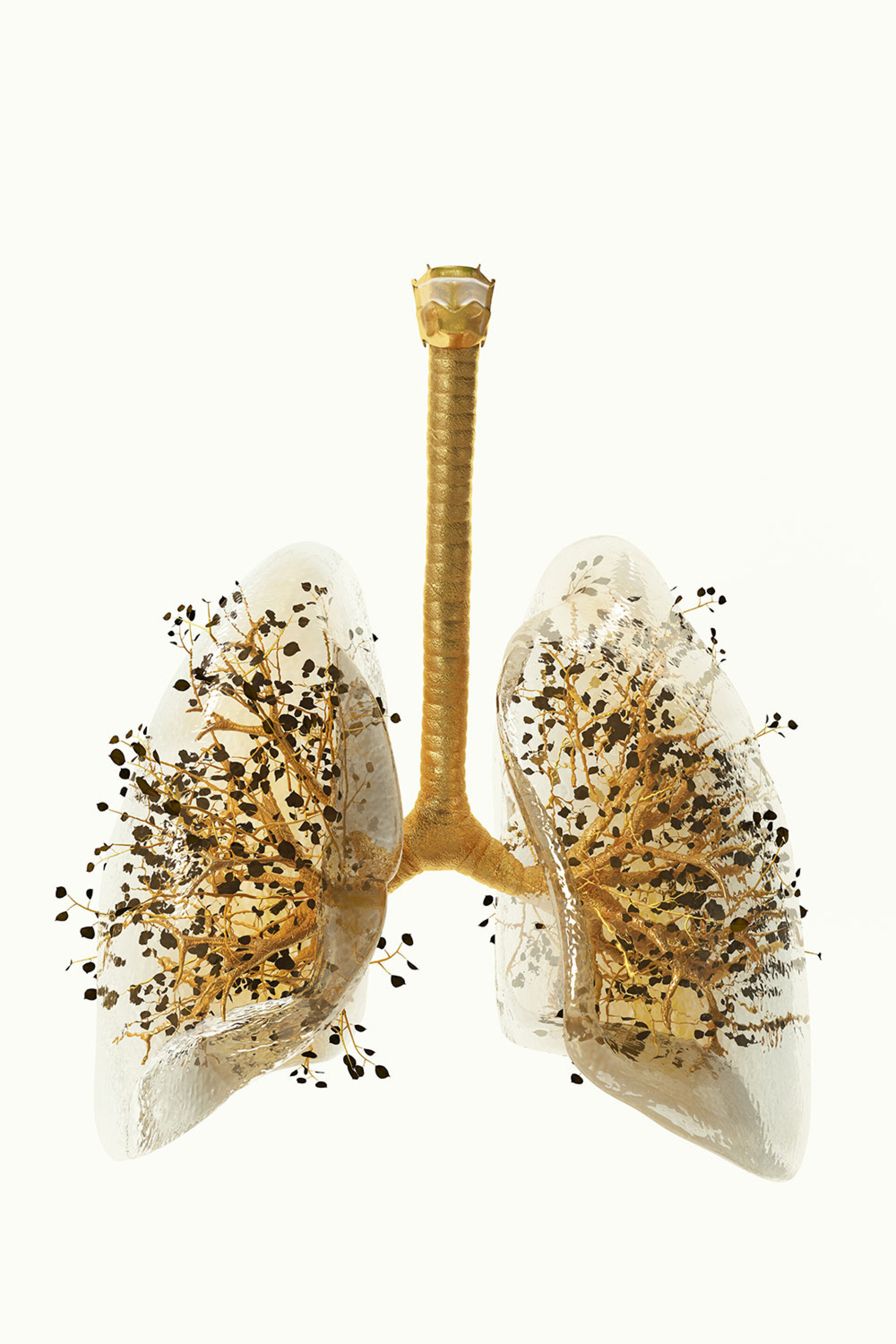 Phytobiosomes by Costas Pigadas στο Νοσοκομείο Ερρίκος Ντυνάν