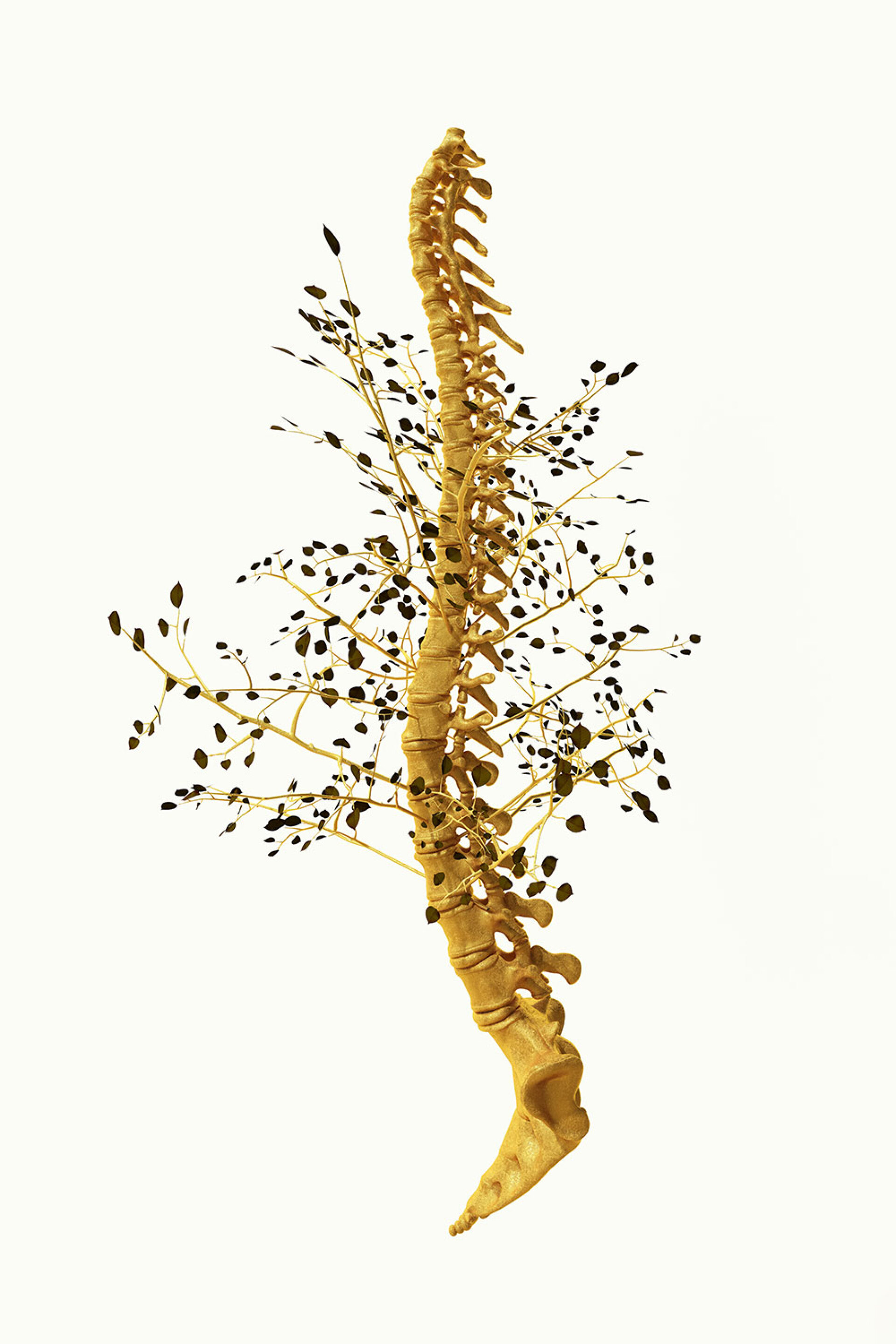 Phytobiosomes by Costas Pigadas στο Νοσοκομείο Ερρίκος Ντυνάν