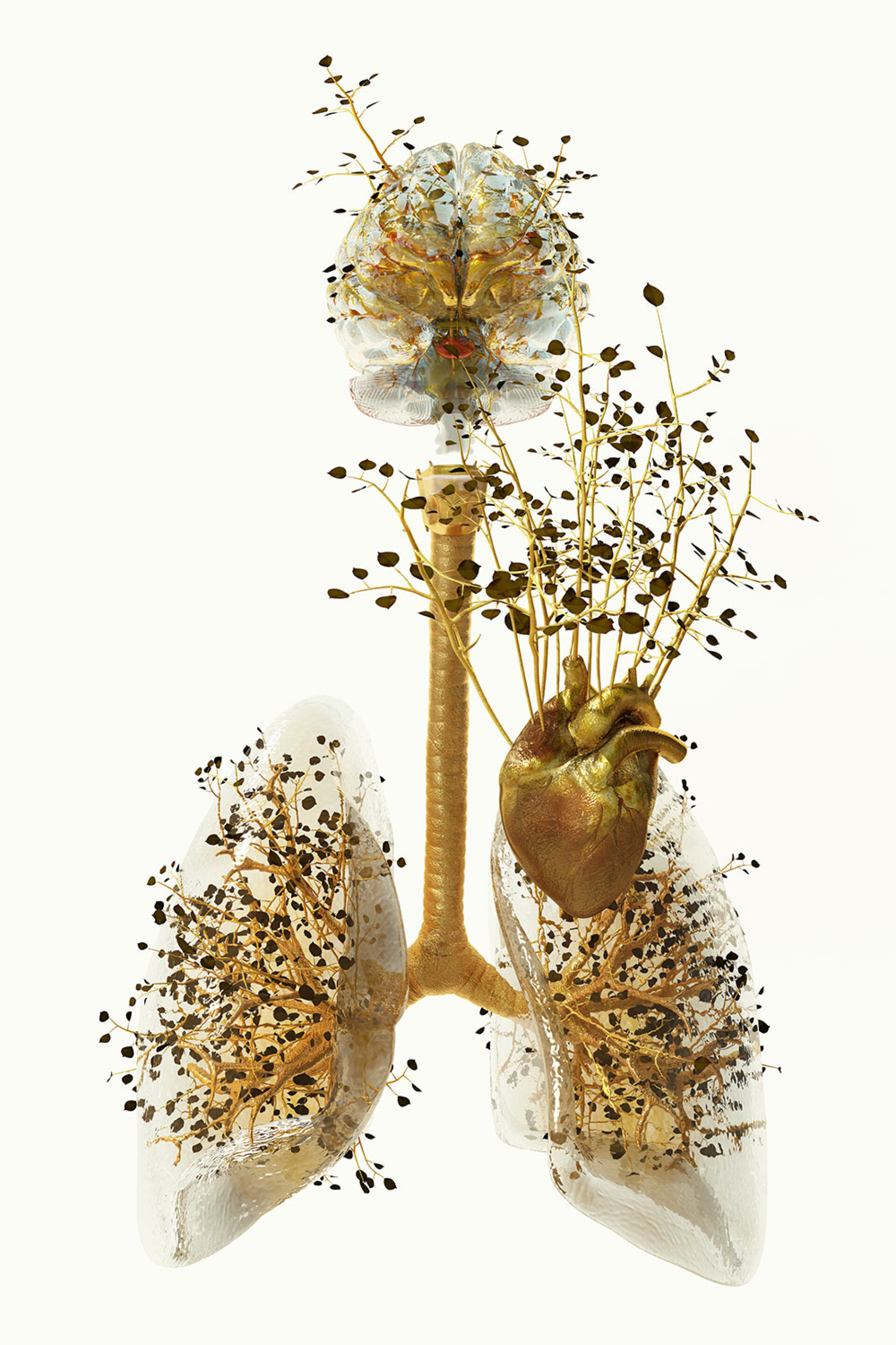 Phytobiosomes by Costas Pigadas στο Νοσοκομείο Ερρίκος Ντυνάν