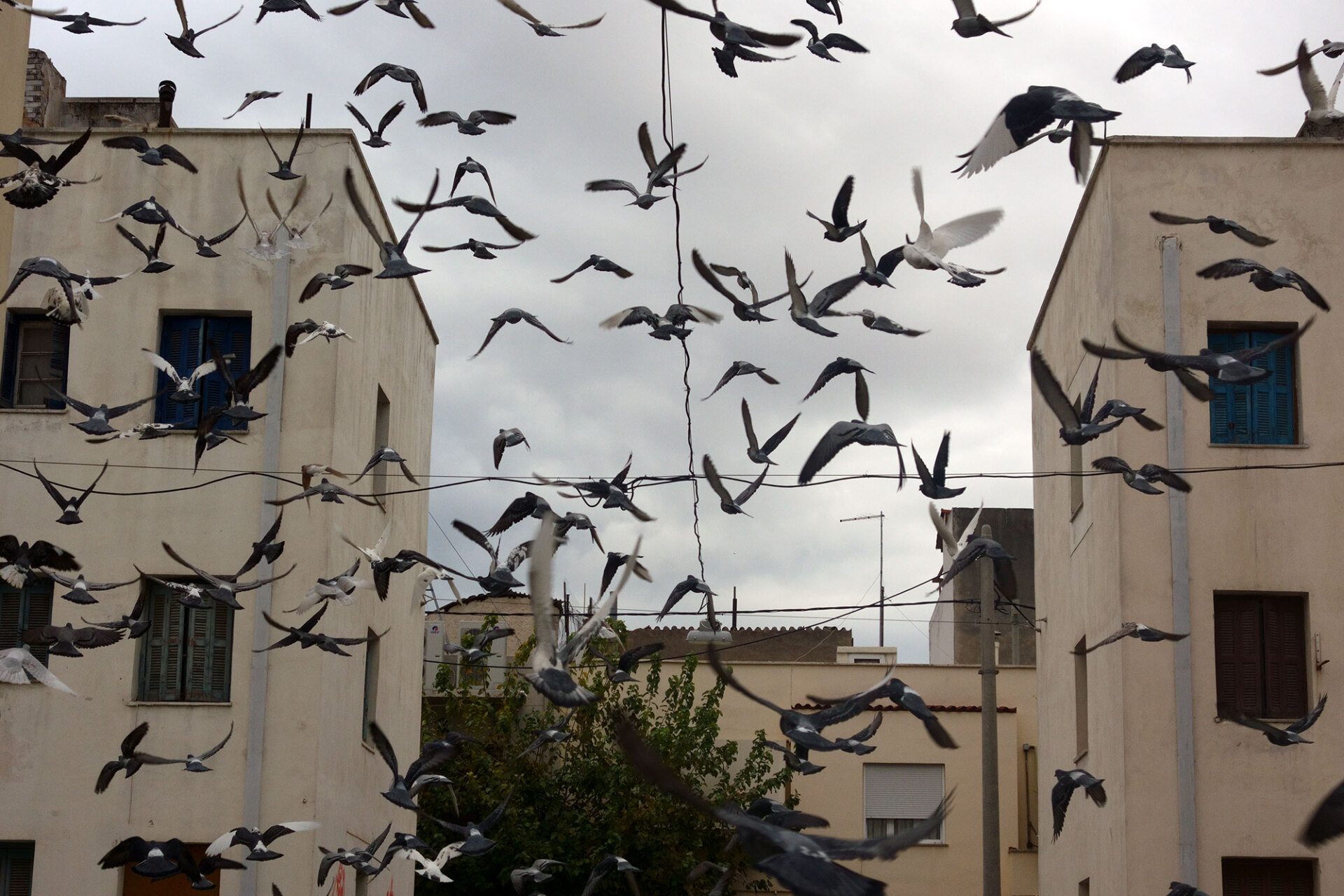 Ναυσικά Χαραλαμπίδου, Γεωγραφία του έρωτα και άλλων αισθημάτων