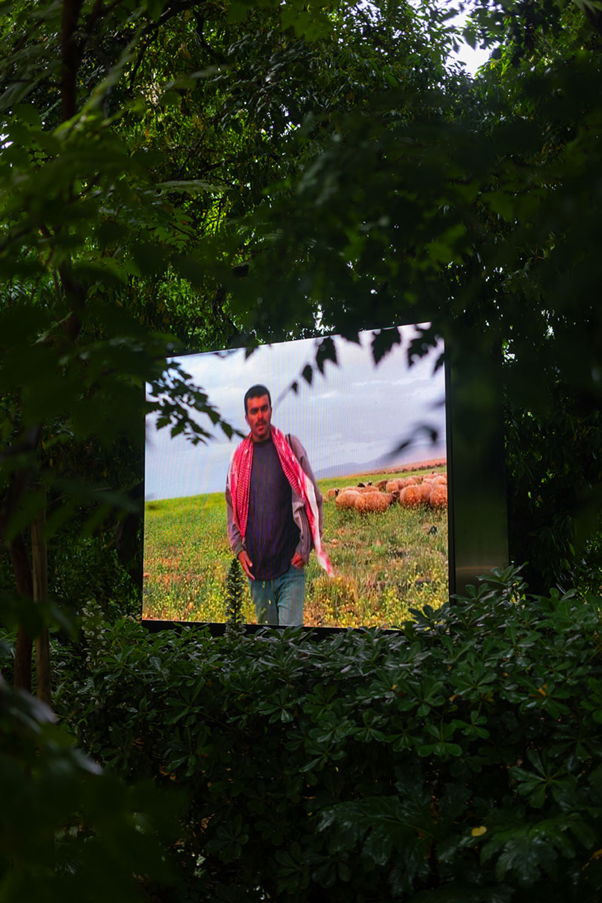 Ziad Antar, Tokyo Tonight © Pinelopi Gerasimou