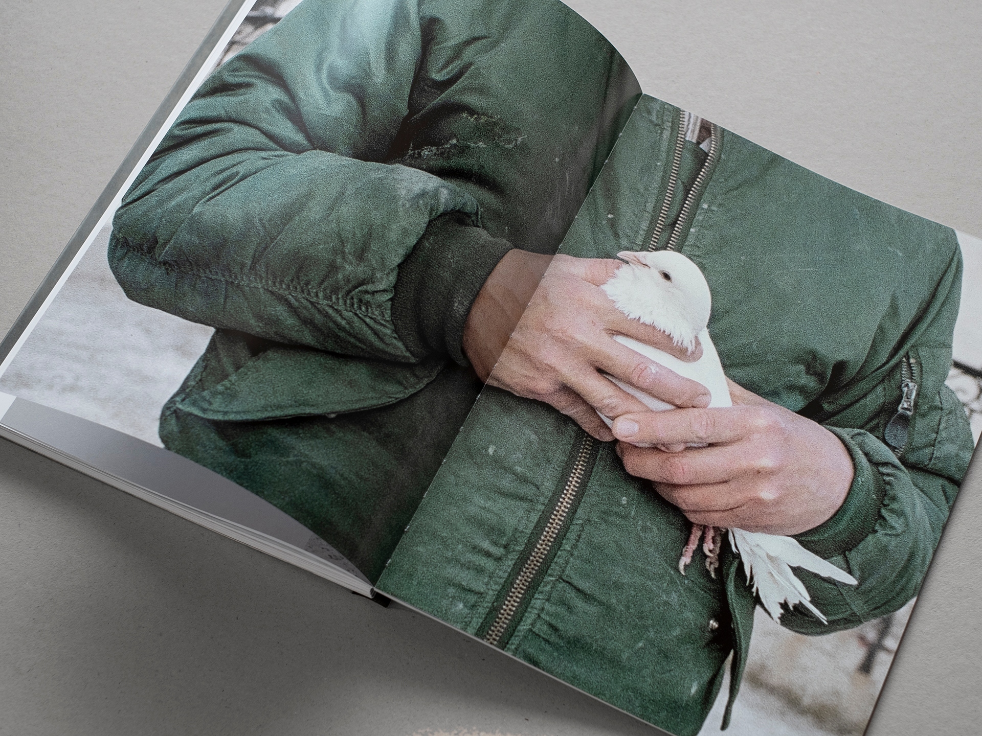 Δημήτρης Κοιλαλούς: Athens 42 Days