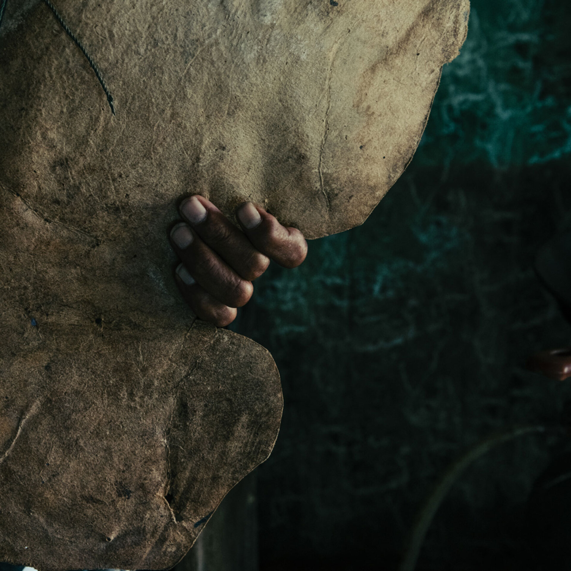 «The hand», Ταϋλάνδη, 2022 © Constantine Korsovitis