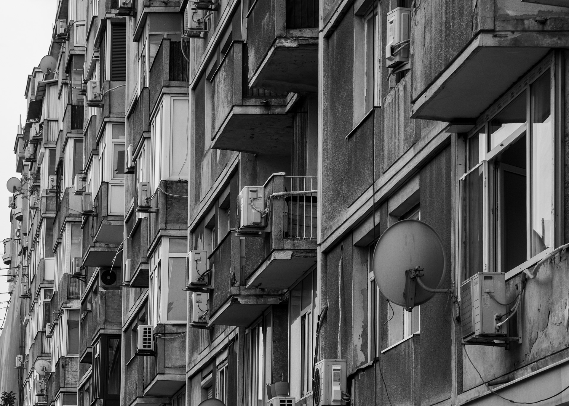 Σοφοκλής Νικολής: Ωμή πραγματικότητα είναι η αλήθεια που βλέπω χωρίς καλούπια