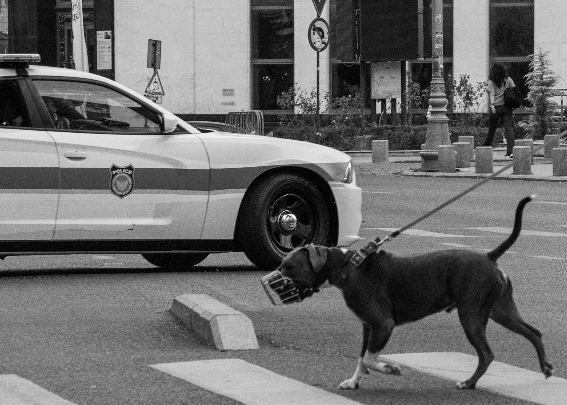 Σοφοκλής Νικολής: Συνέντευξη για την έκθεση φωτογραφίας «City Survival» που παρουσιάζεται στη Θεσσαλονίκη, στην Εφημερίδα SKG, από τις 14 έως τις 21 Ιουνίου.