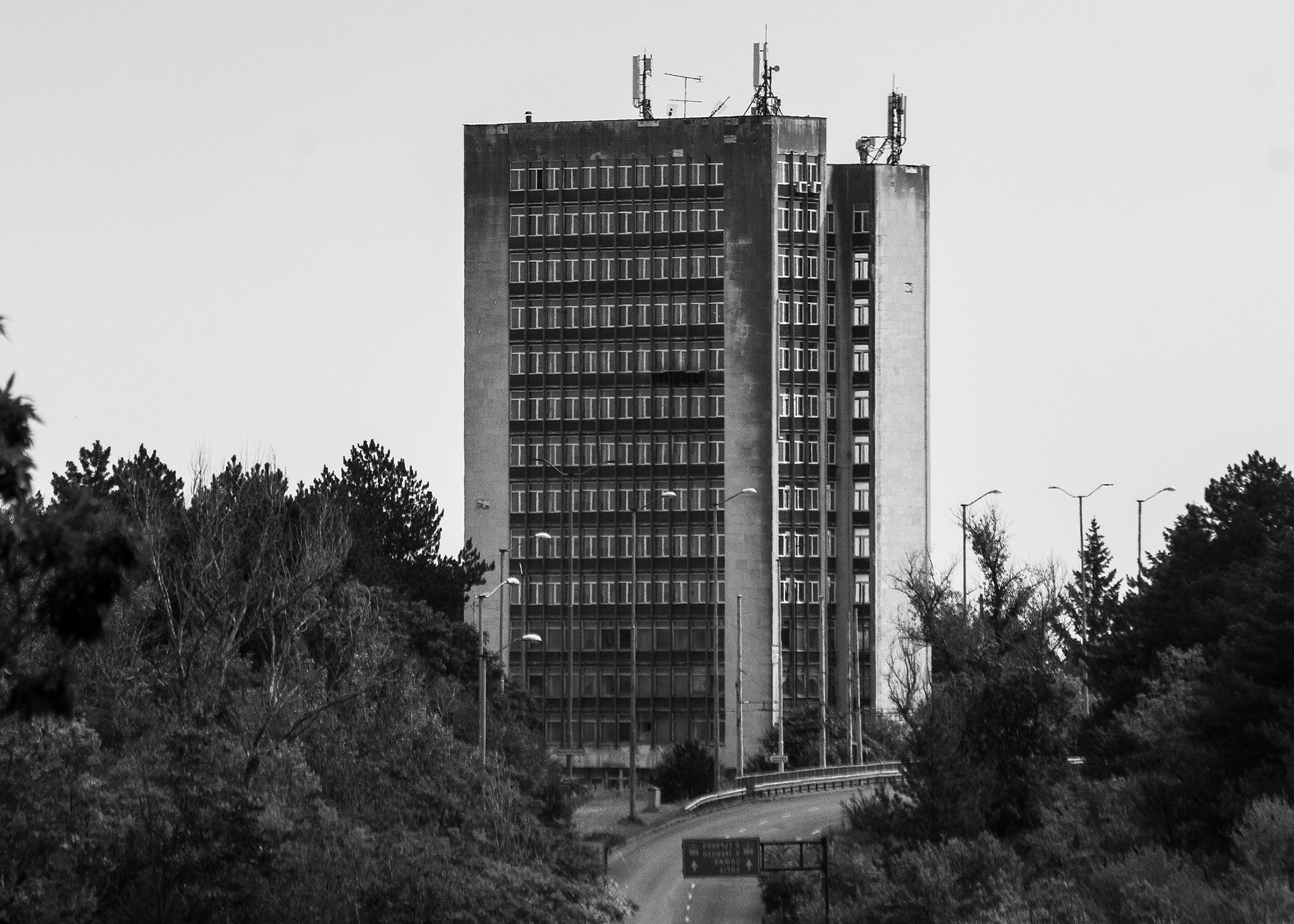 Σοφοκλής Νικολής: Ωμή πραγματικότητα είναι η αλήθεια που βλέπω χωρίς καλούπια