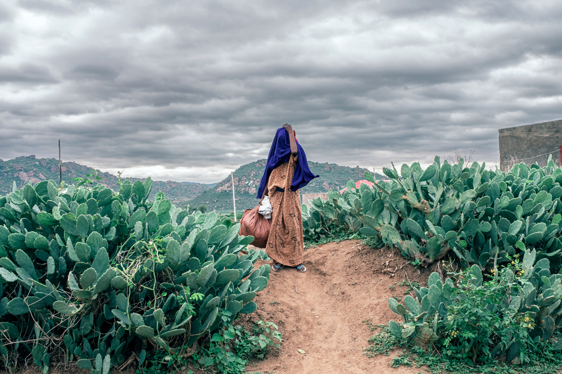 Κώστας Δελχάς: Οδοιπορικό στις σκιές και τα χρώματα της ανατολικής Αιθιοπίας