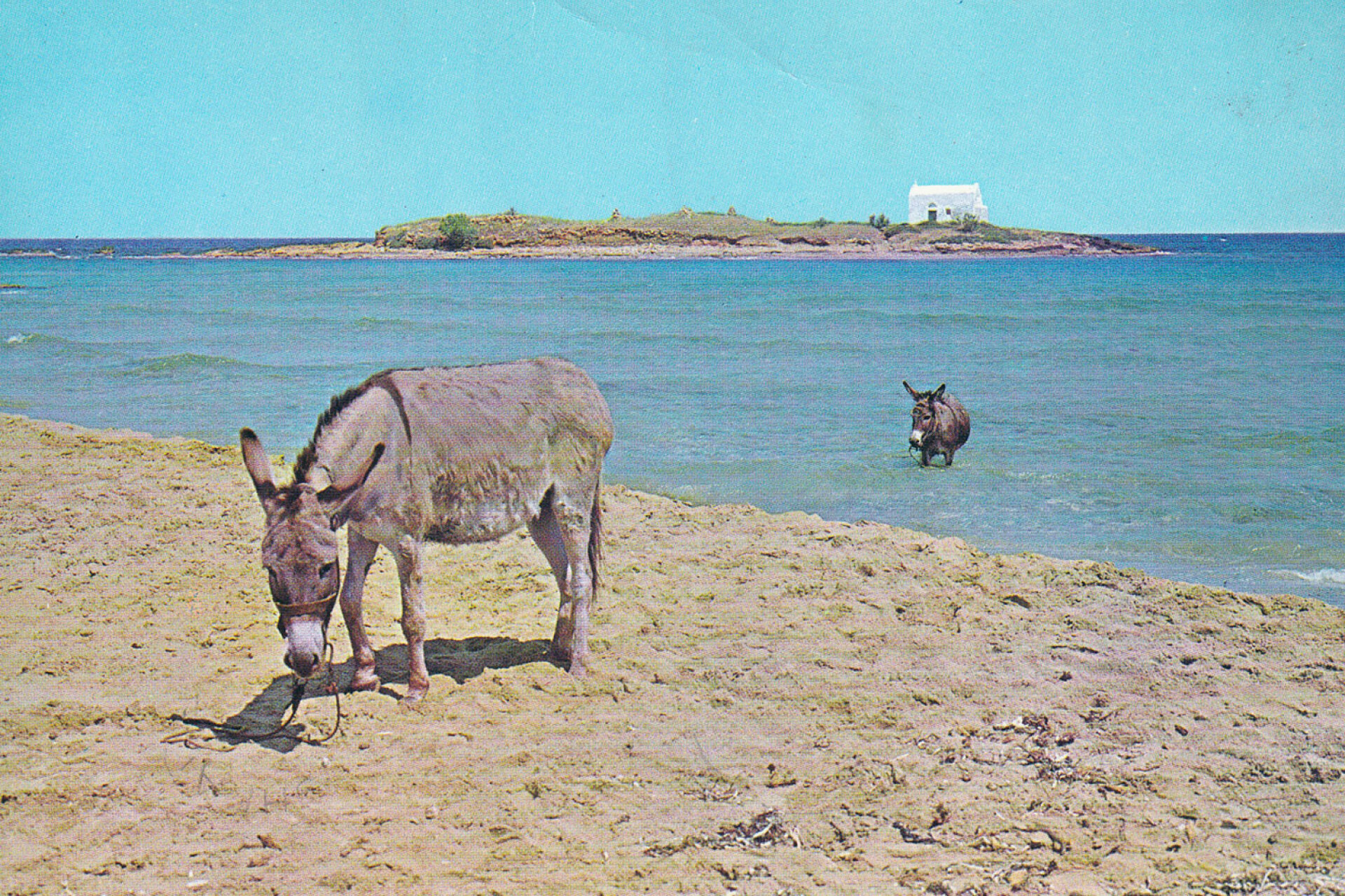 Πρωϊνό μπάνιο στα Μάλια, 1972