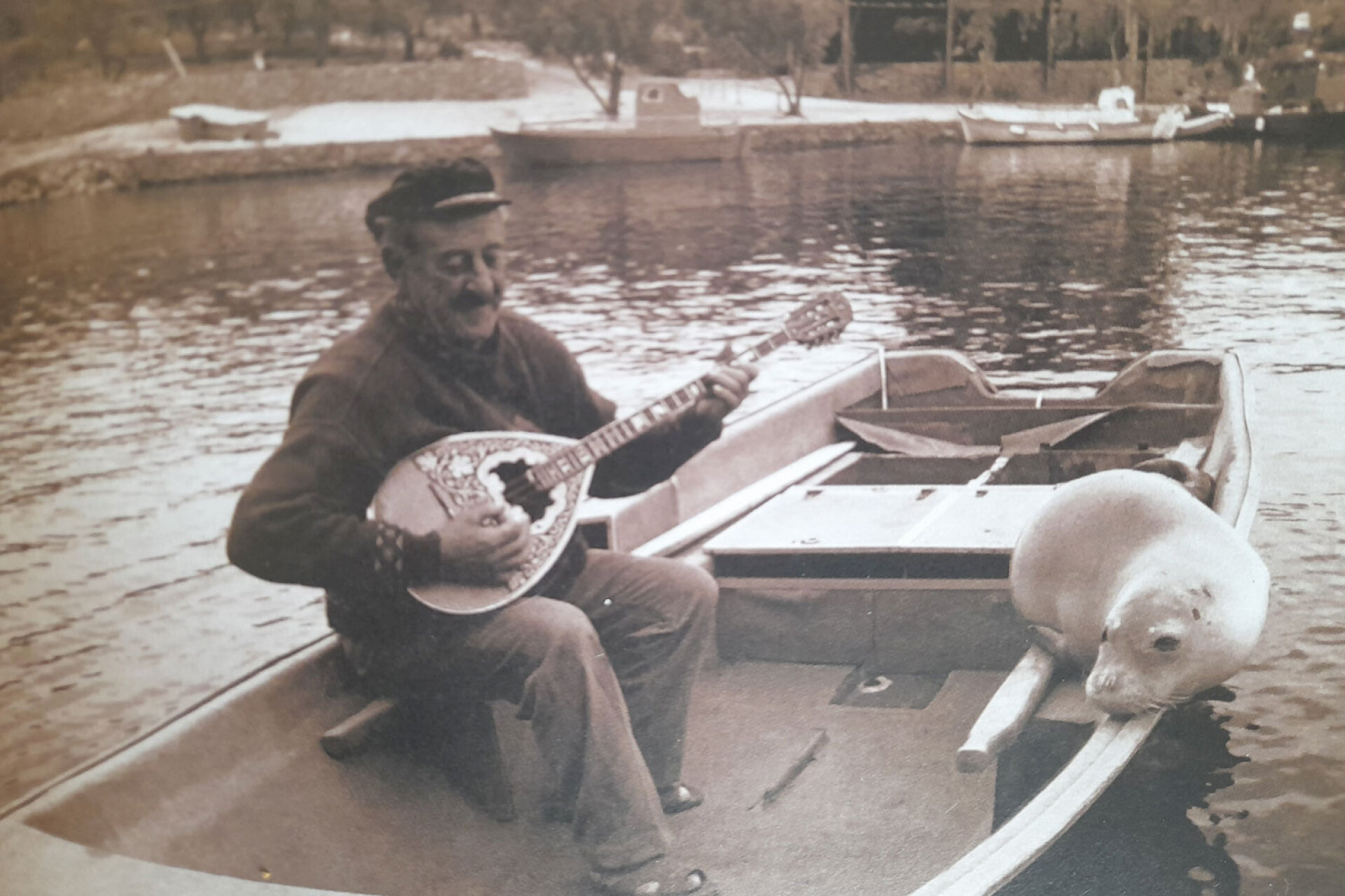 Η μεσογειακή φώκια, μονάχους μονάχους Θοδωρής, 1974