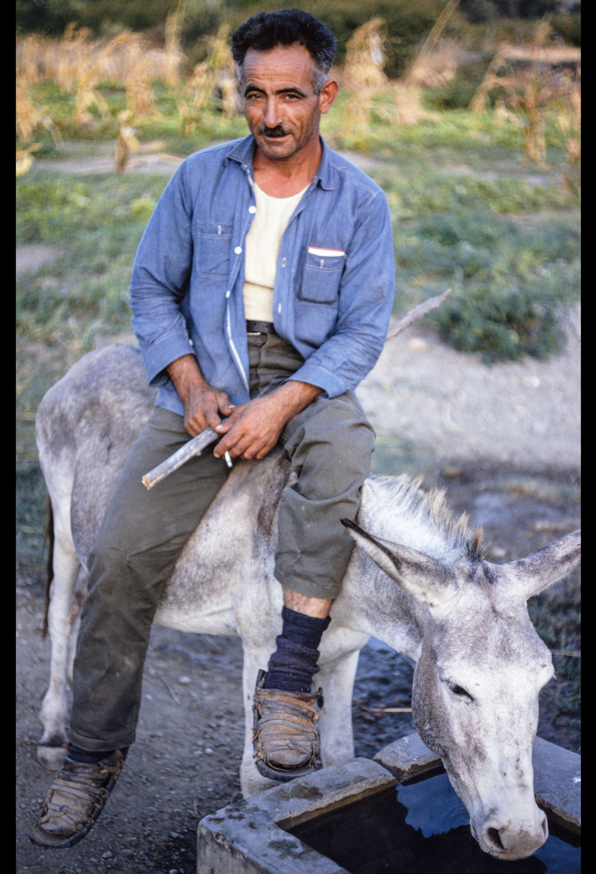 Πάρος. Λοιπά στοιχεία άγνωστα