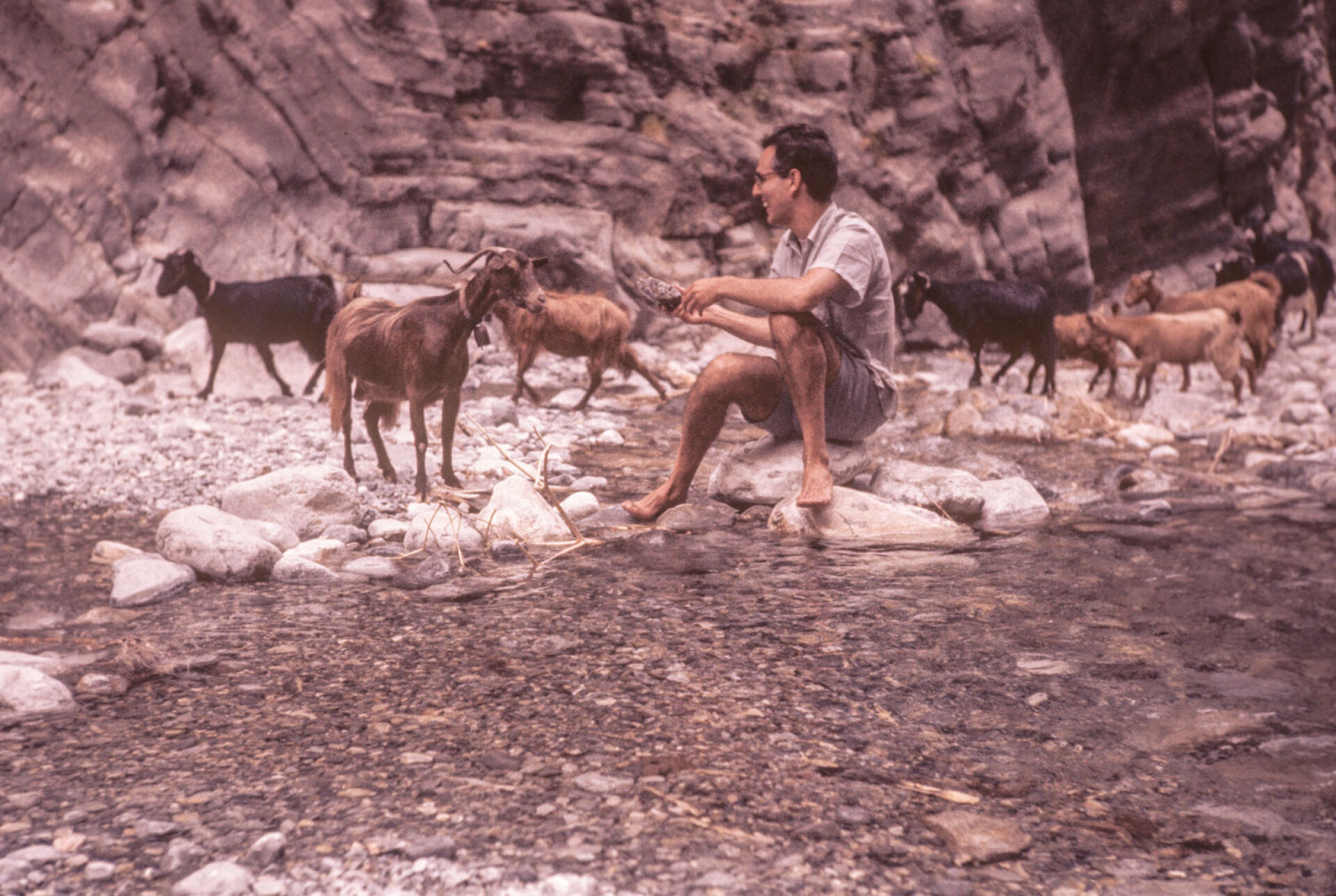 Ο Ρόμπερτ ΜακΚέιμπ στο Φαράγγι της Σαμαριάς το 1964