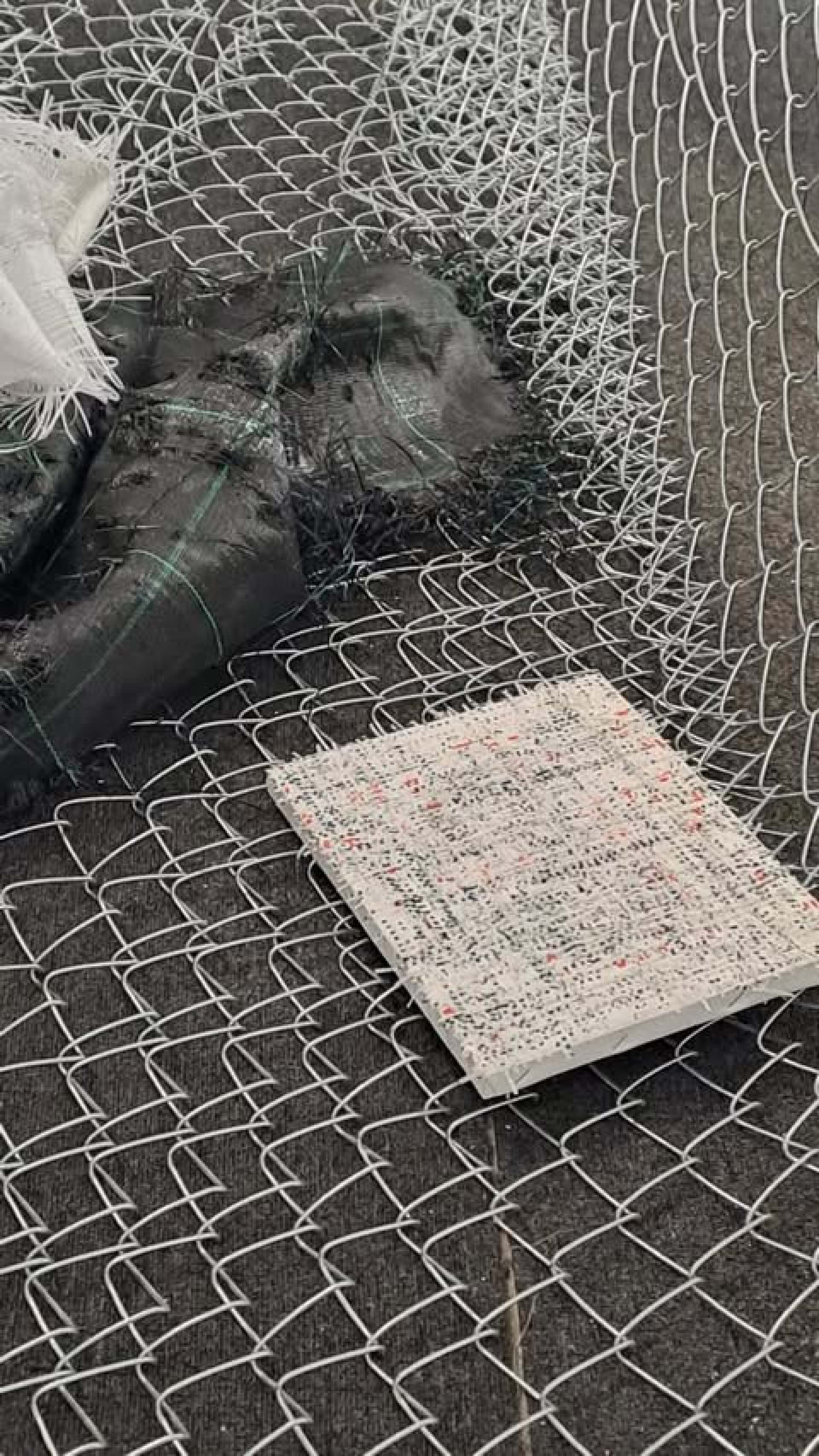 Έξι φωνές, έξι κόσμοι: Οι εικαστικοί που ξεχώρισαν στα MET Open Studios 2025