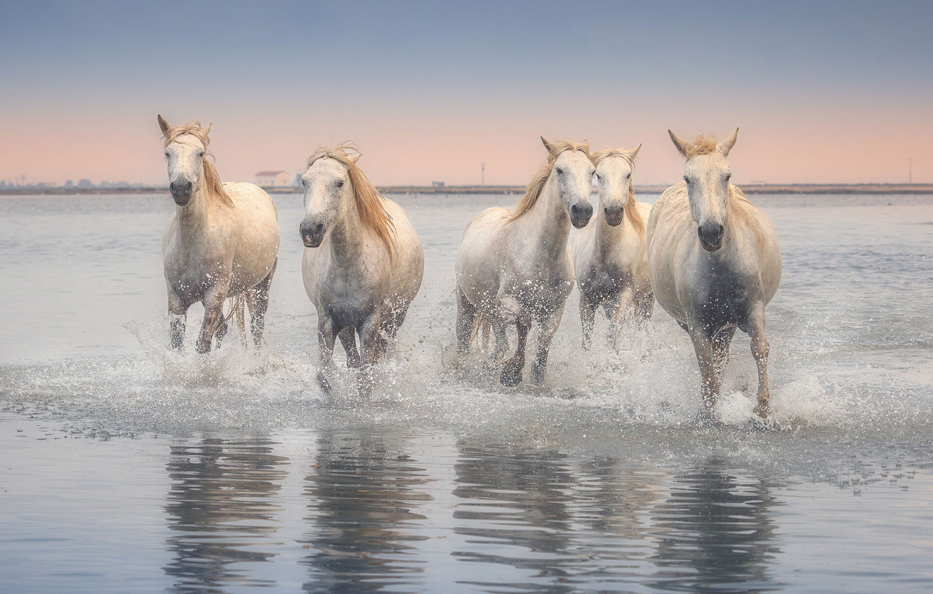 Οι λευκοί άγγελοι © Γιάννης Λάριος