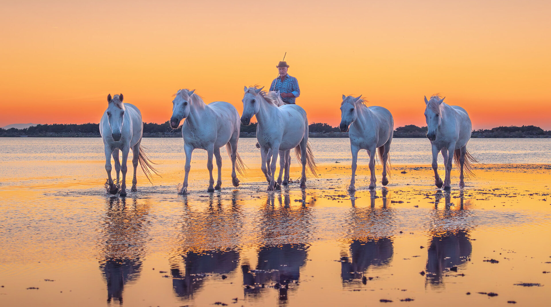 Οι λευκοί άγγελοι © Γιάννης Λάριος