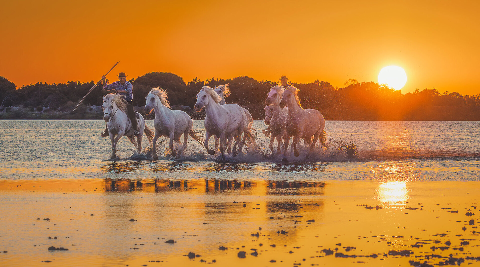 Οι λευκοί άγγελοι © Γιάννης Λάριος