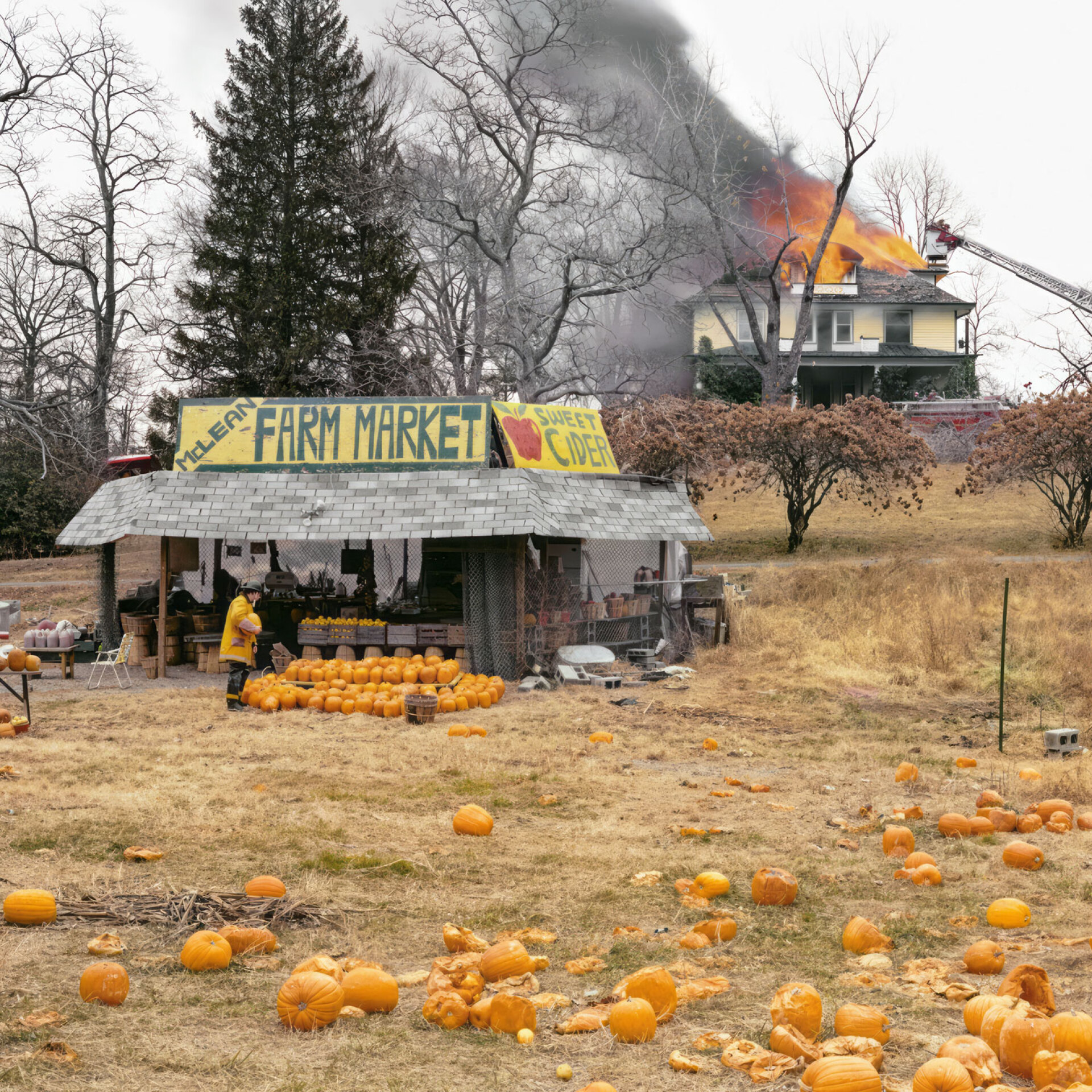 Τζόελ Στέρνφελντ